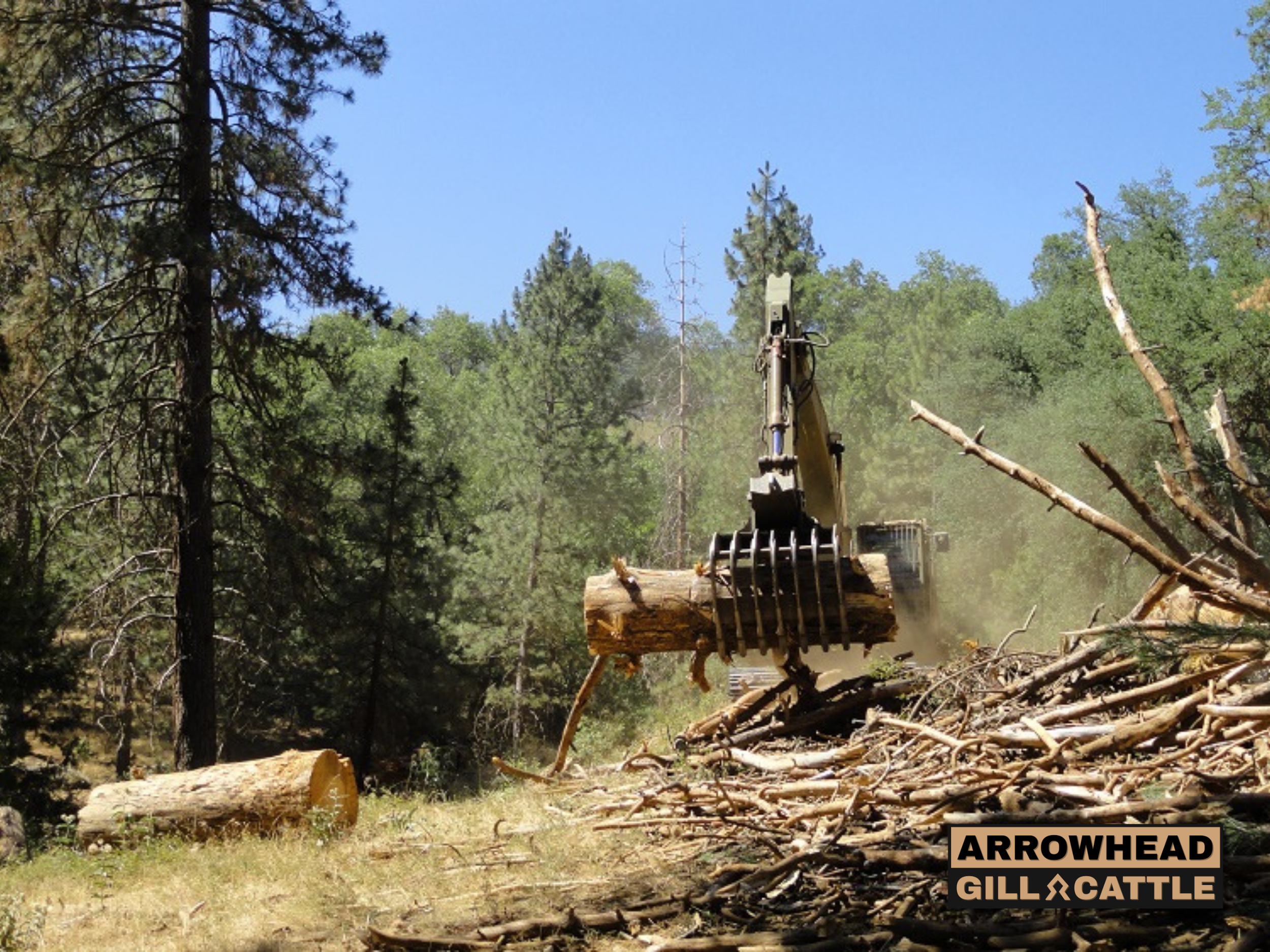 Vegetation Management Operations