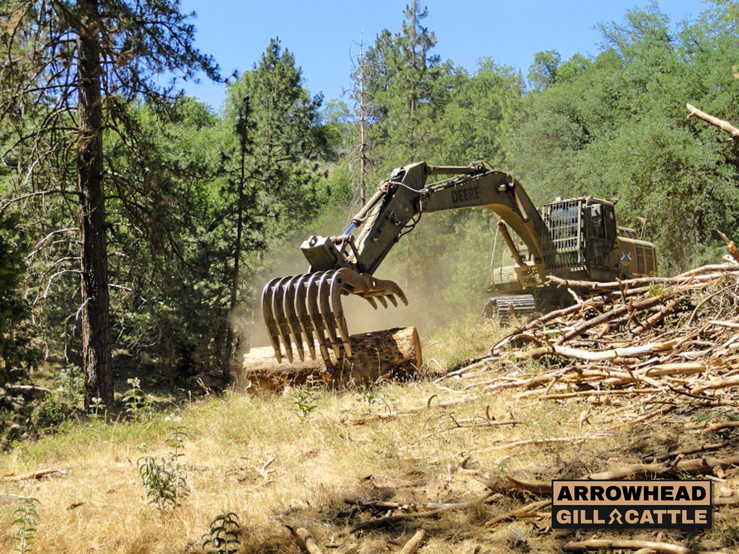 Vegetation Management Operations