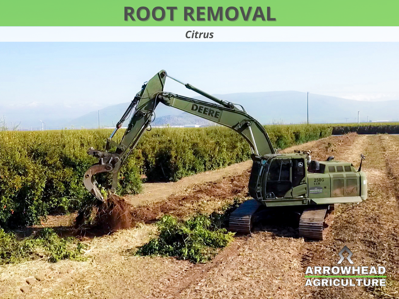  Arrowhead Agriculture root removal orchard removal vineyard removal forestru mulching tulare visalia exeter fresno sanger bakersfield kern hanford 