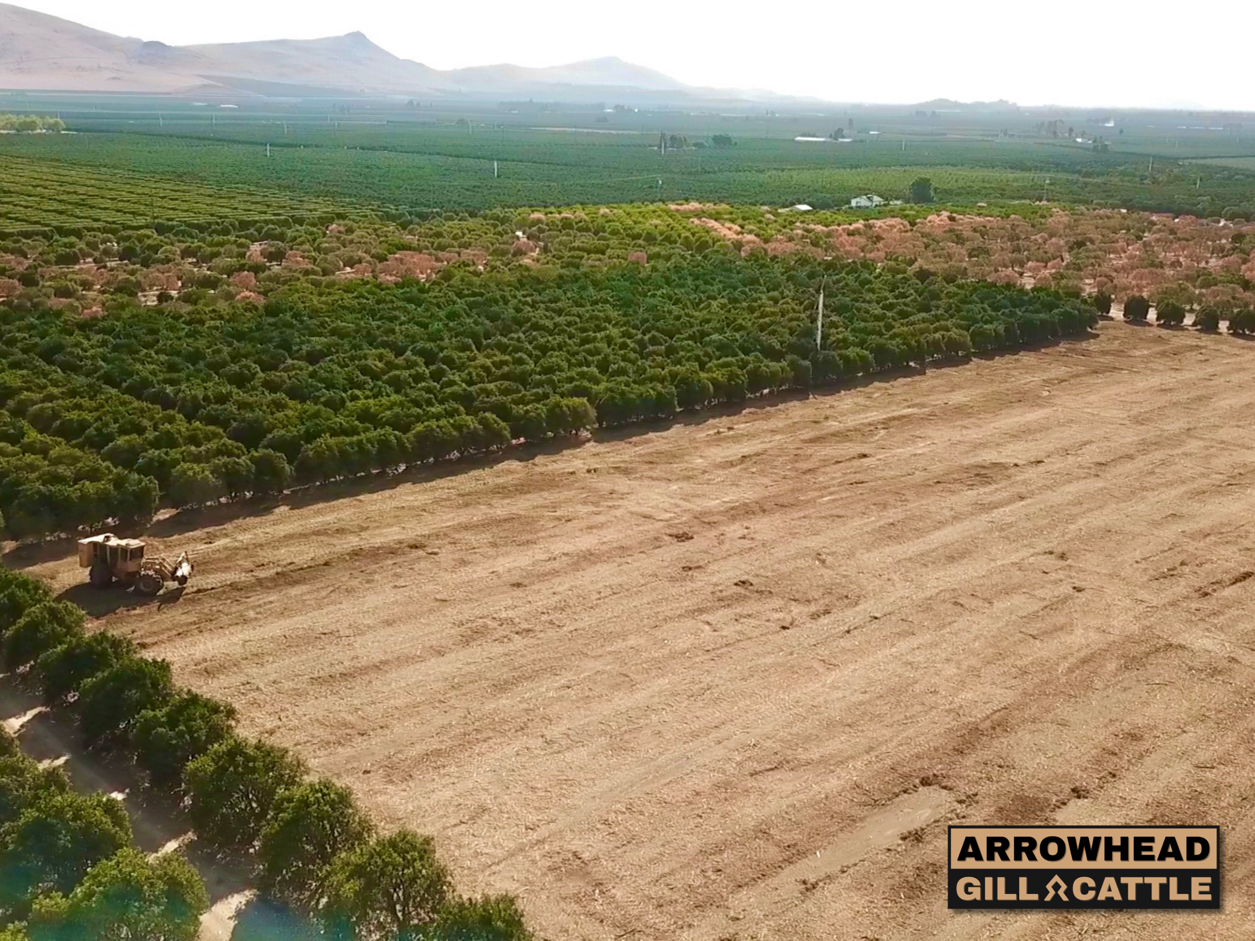Orchard Removal & Agricultural Redevelopment