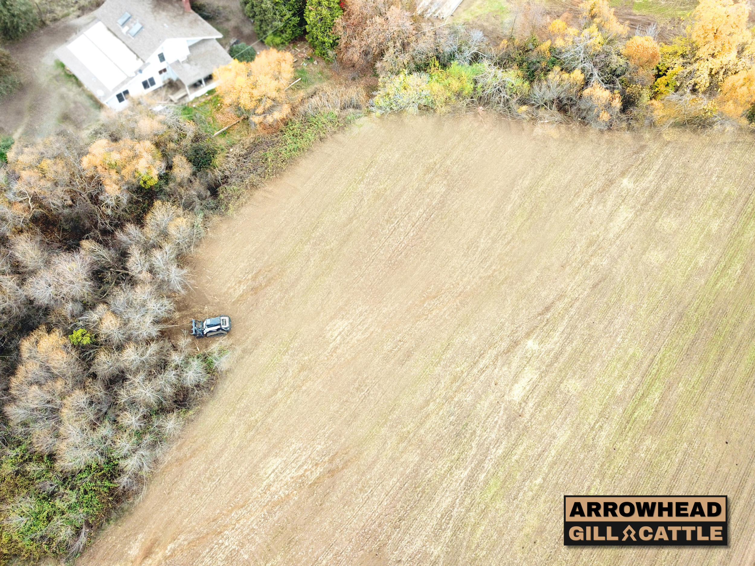 Brush Removal & Field Access Improvements