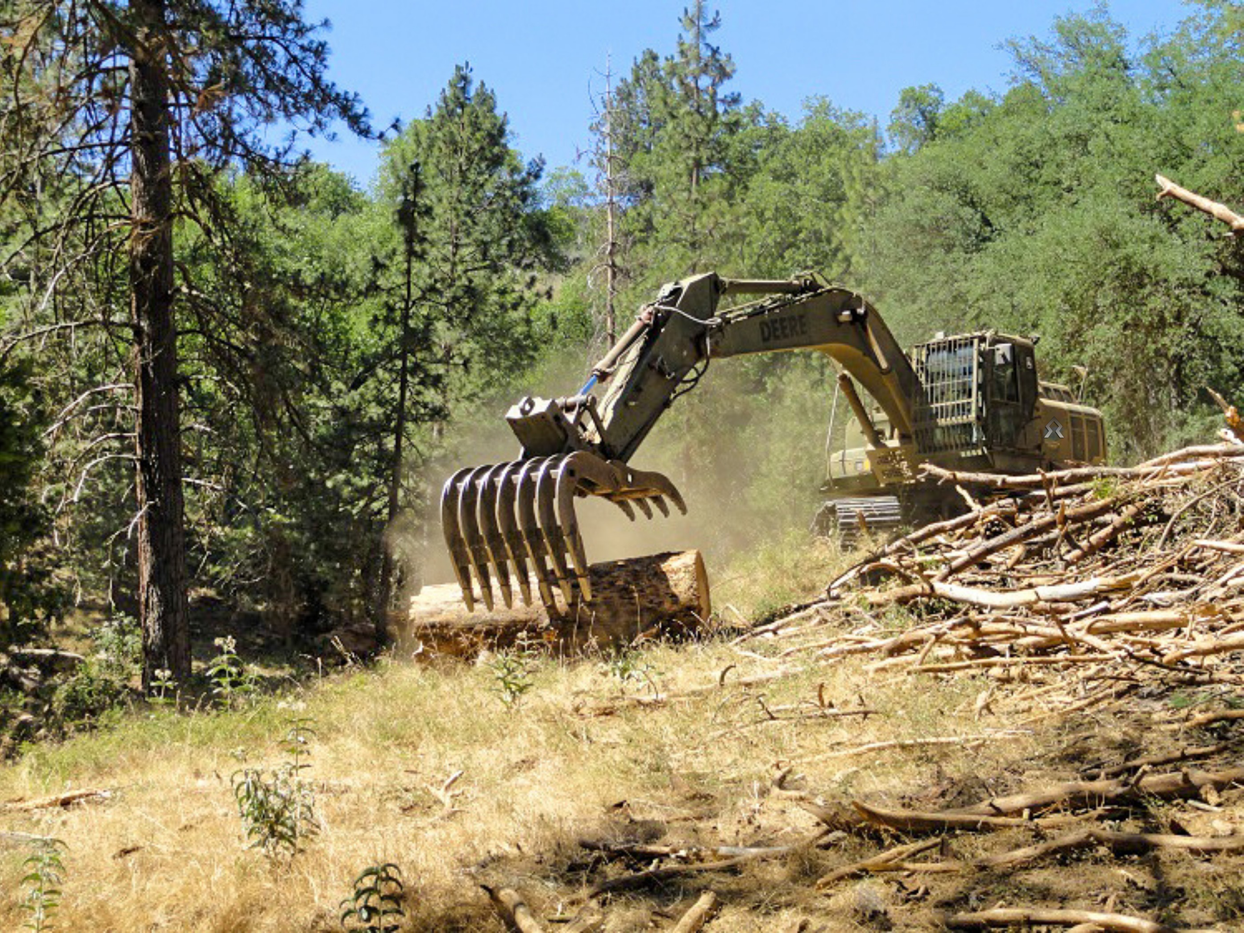 A large construction vehicle, a John Deere excavator, working in a forest clearing with trees and fallen logs around.