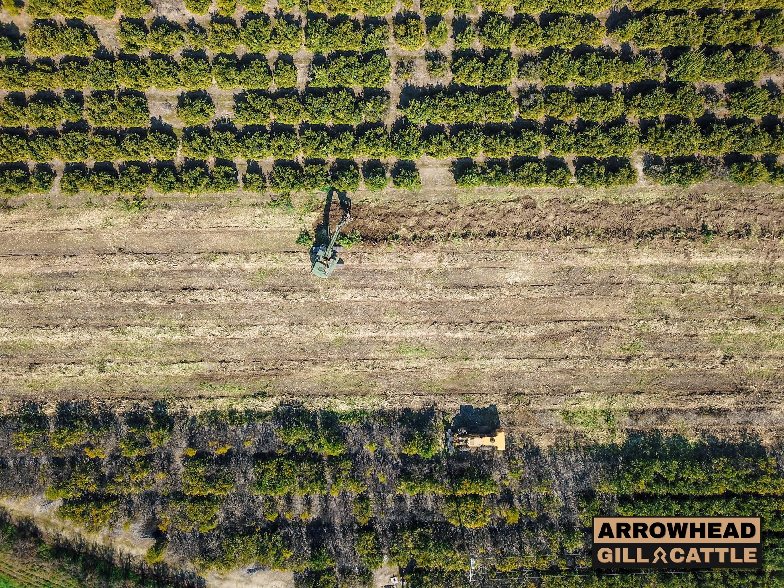 Agricultural Land Preparation