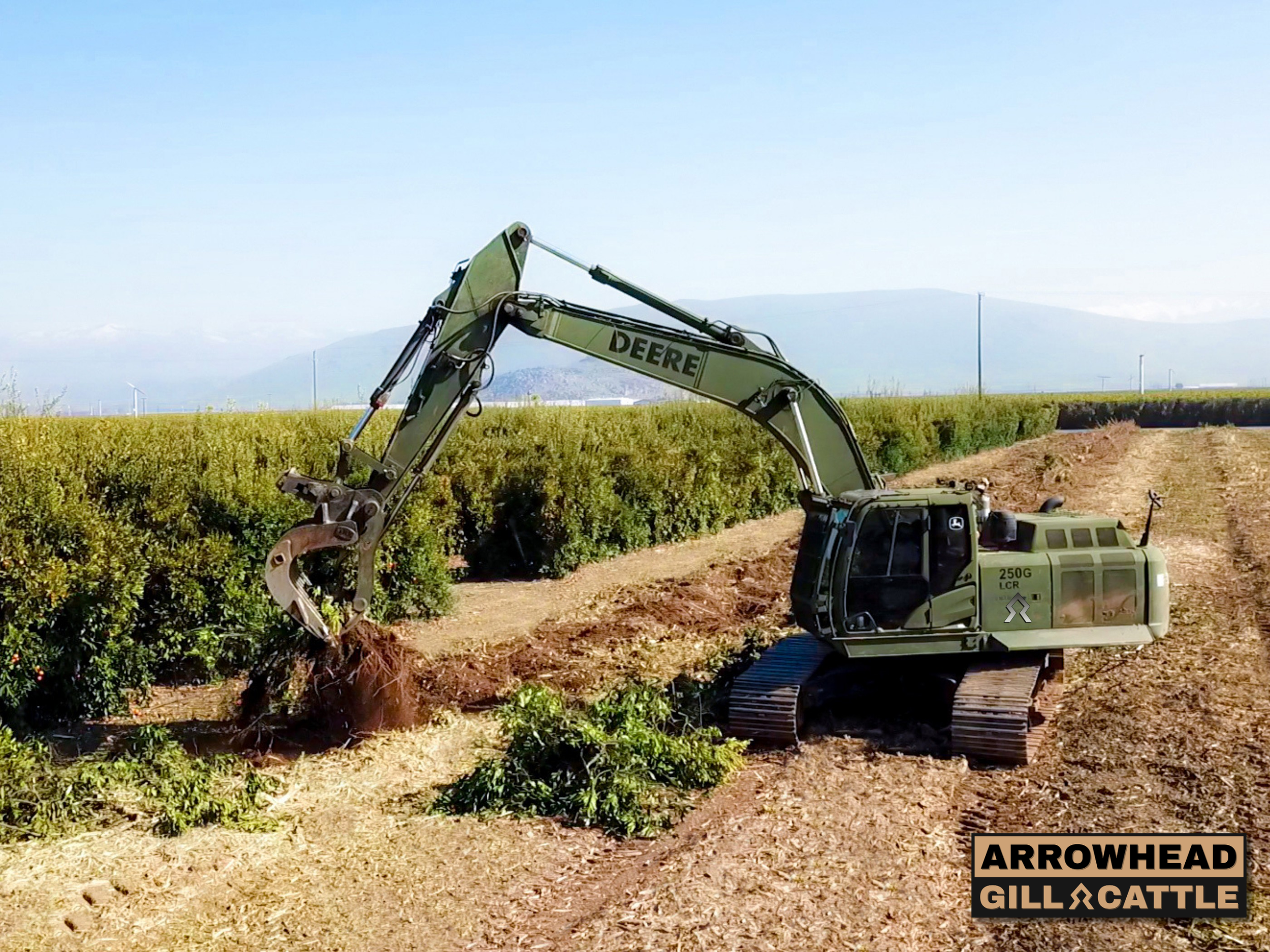 Orchard & Vineyard Removal Operations