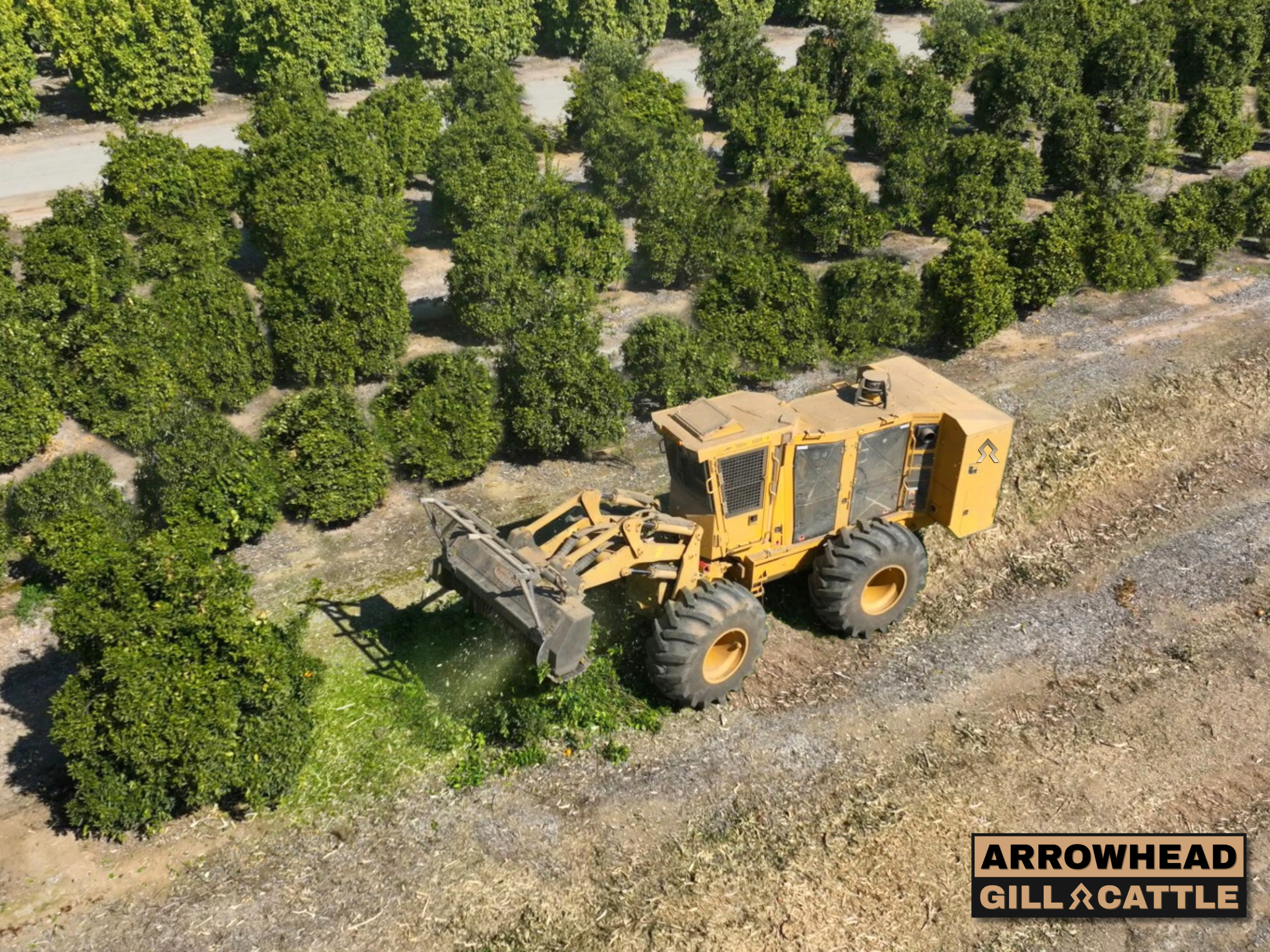 High-Production Orchard Removal Operations