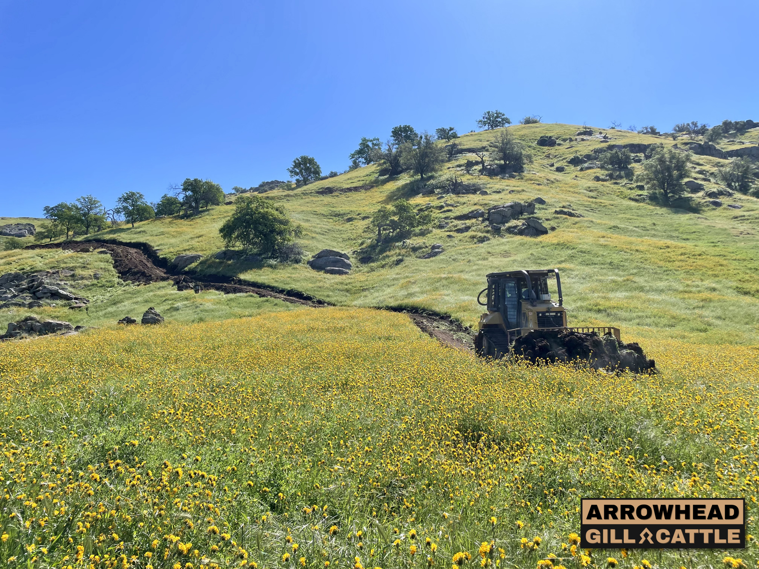 Ranch Road Development & Drainage Improvements