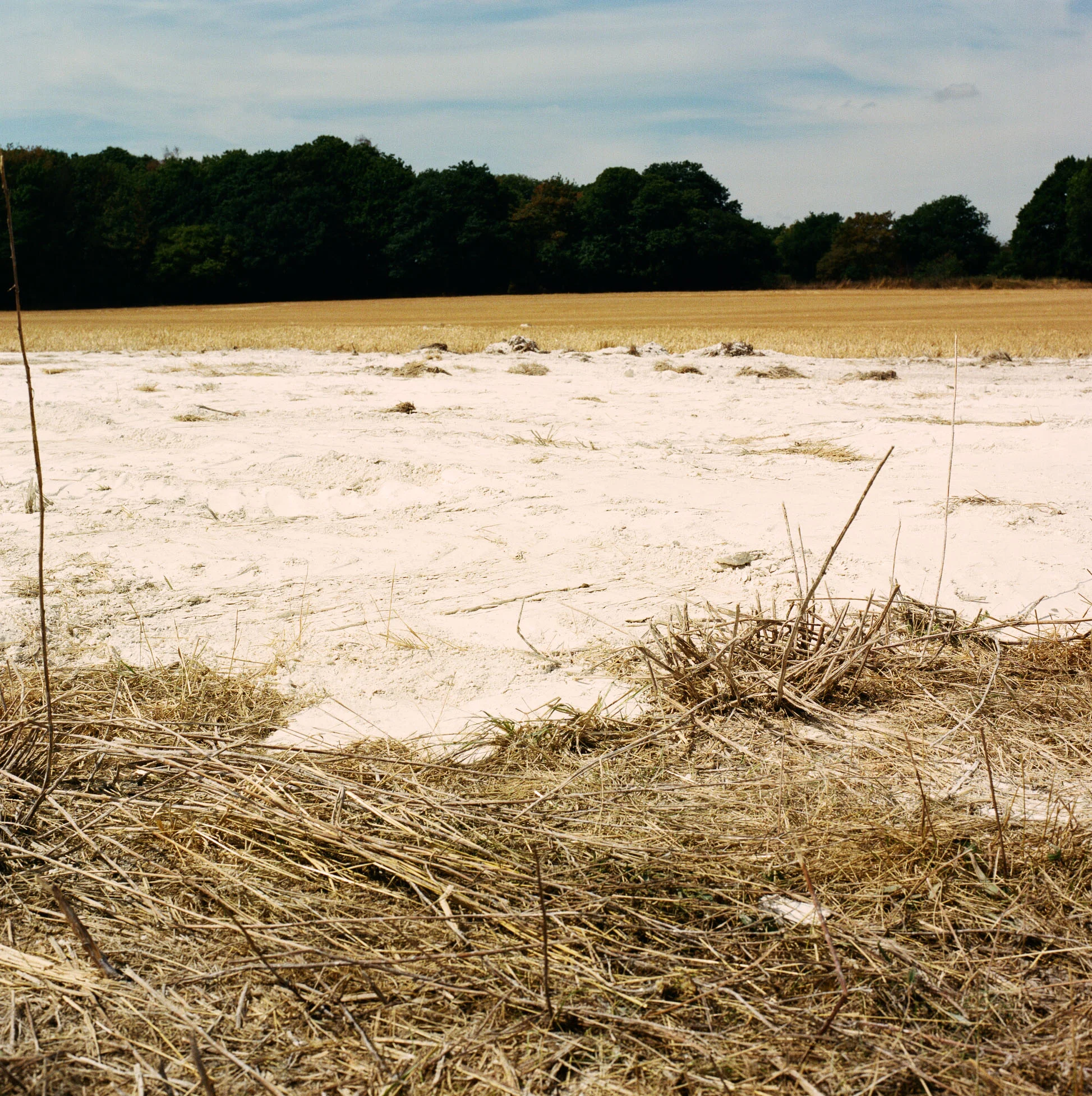 texture.jpg