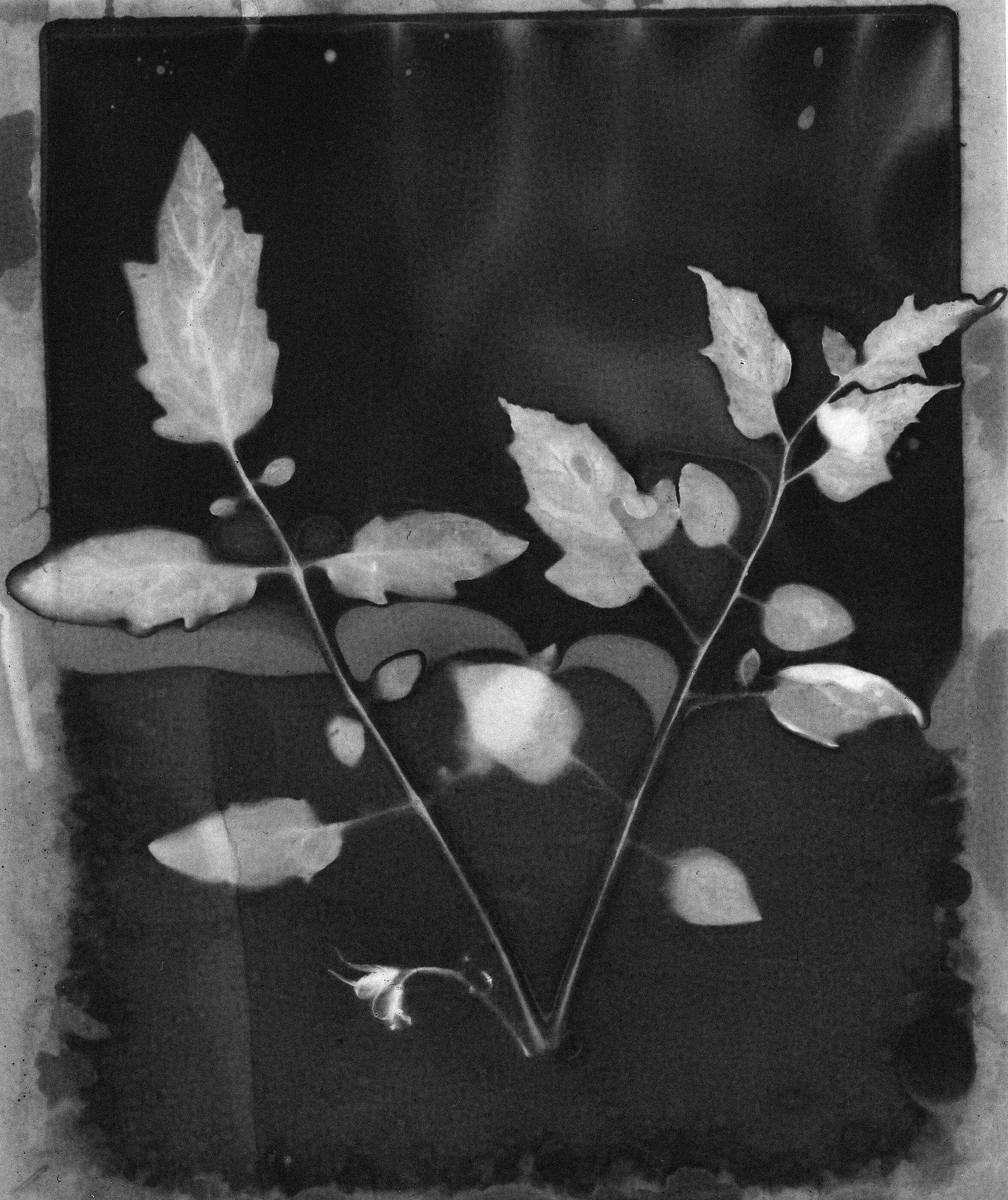 Image 2 (8)-1.jpg
