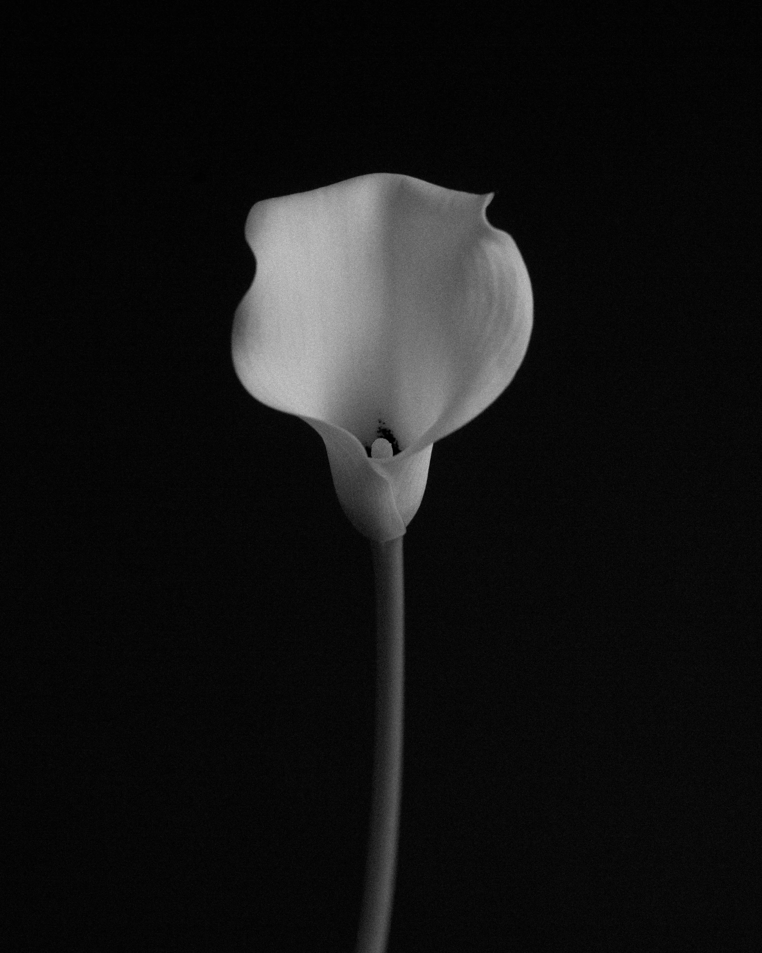 319A1799.jpg