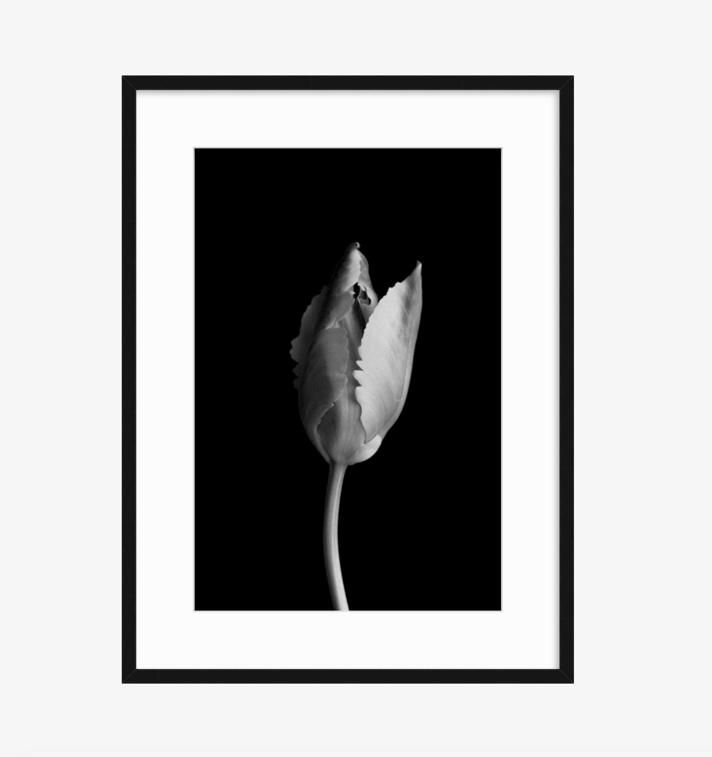 Screen Shot 2019-01-23 at 4.22.35 PM.png