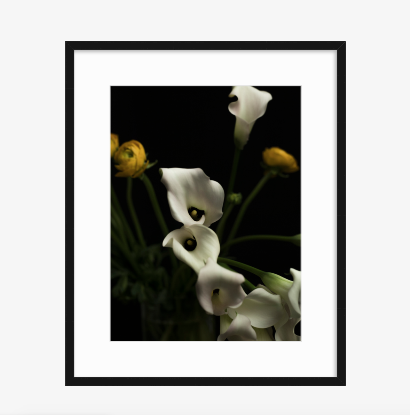 Screen Shot 2019-01-23 at 4.34.59 PM.png
