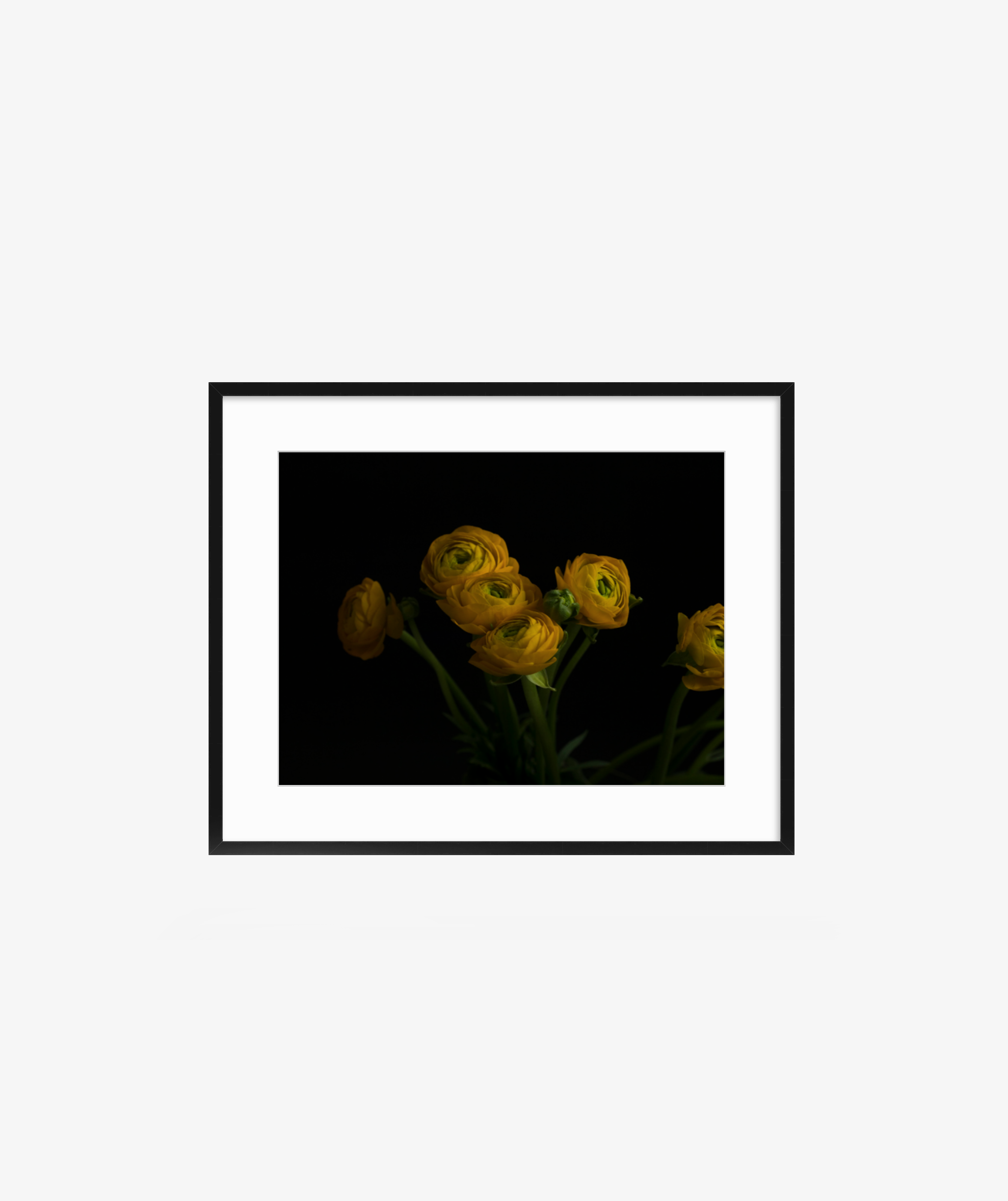 Screen Shot 2019-01-23 at 4.36.31 PM.png