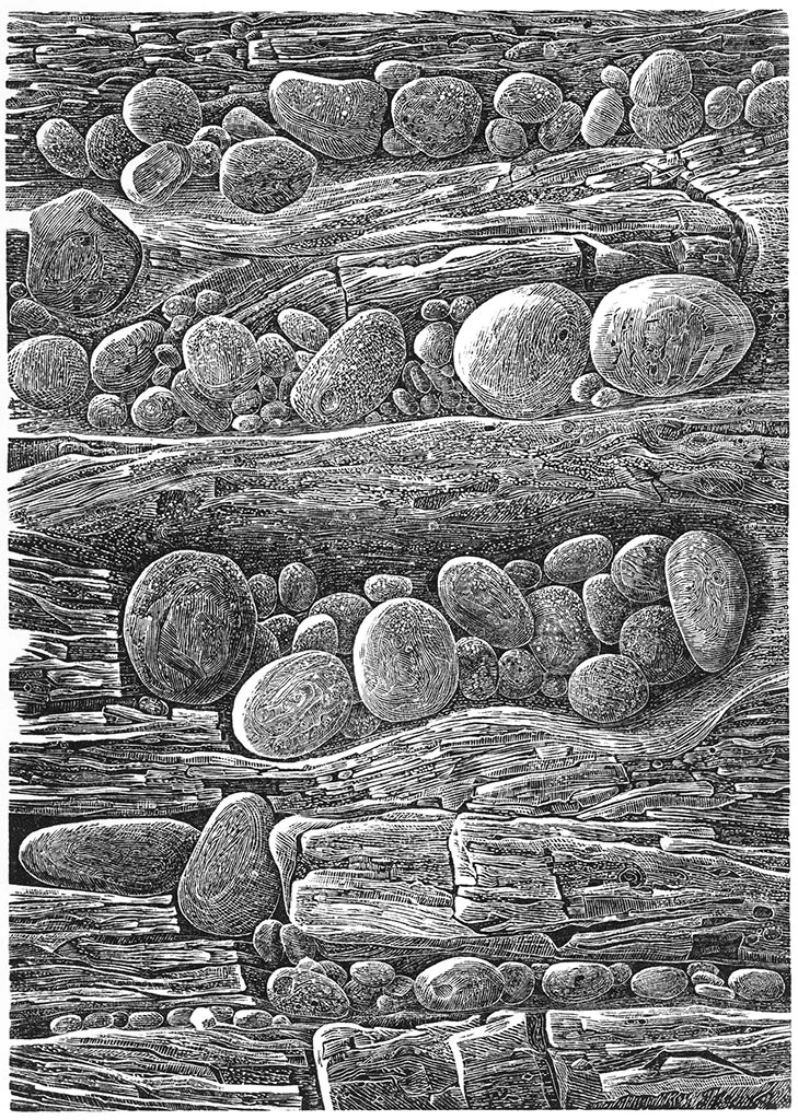 Nestled_72.jpg