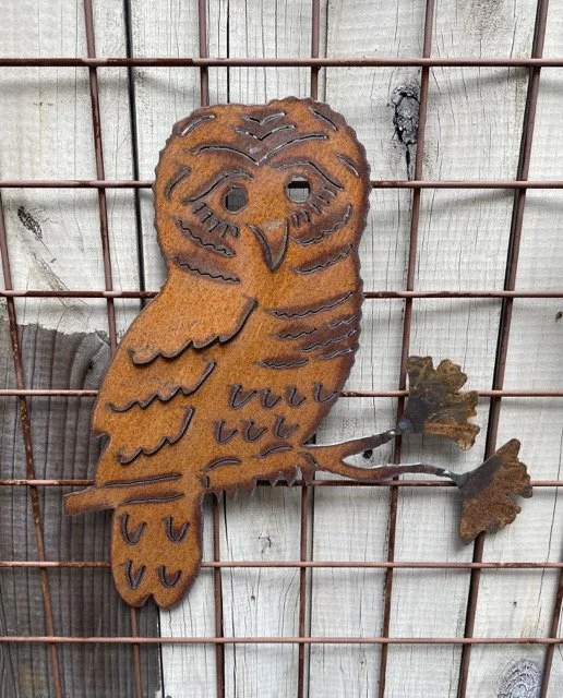 IMG_1407 Medium.jpeg