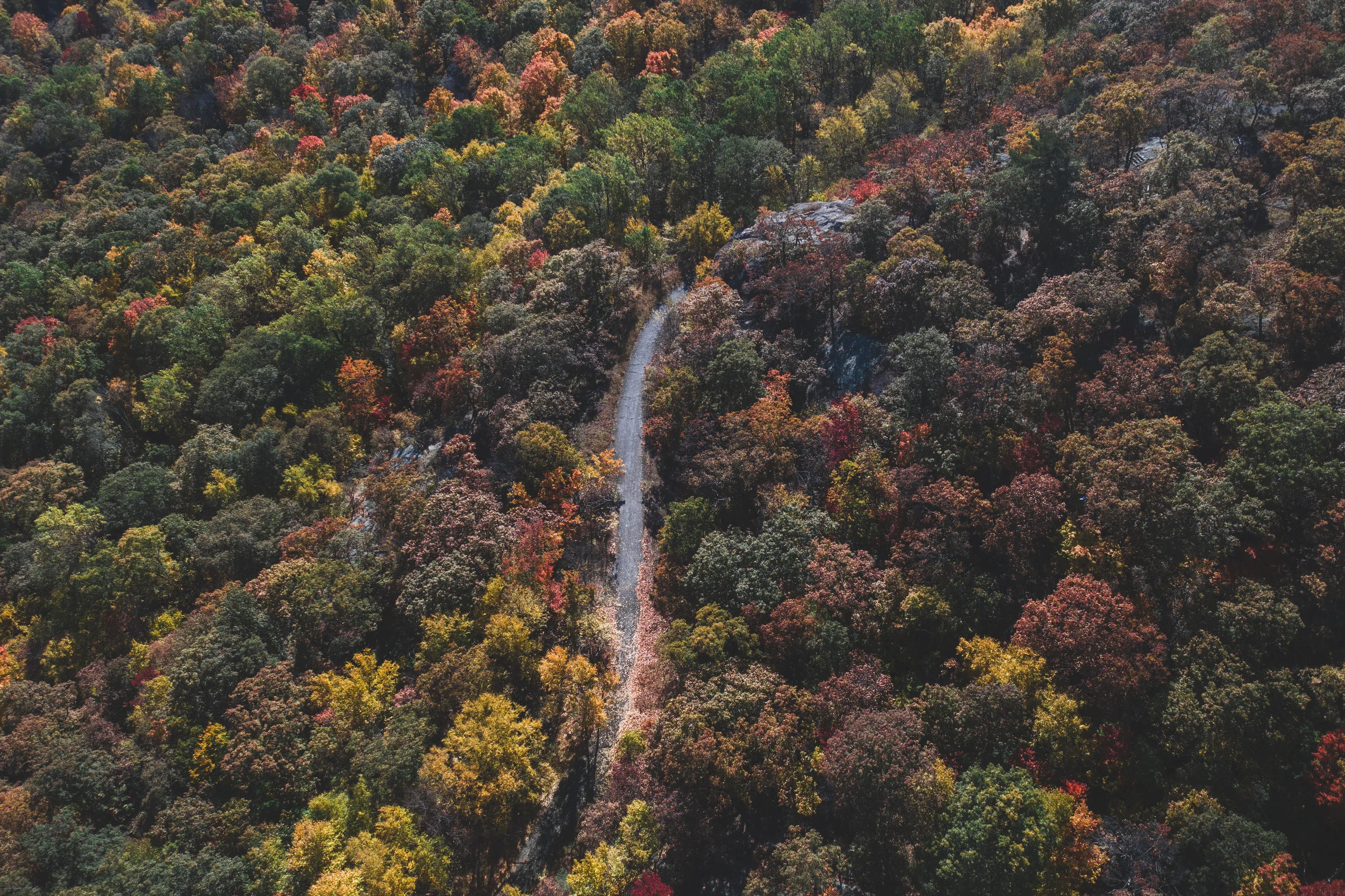 DJI_0009.jpg
