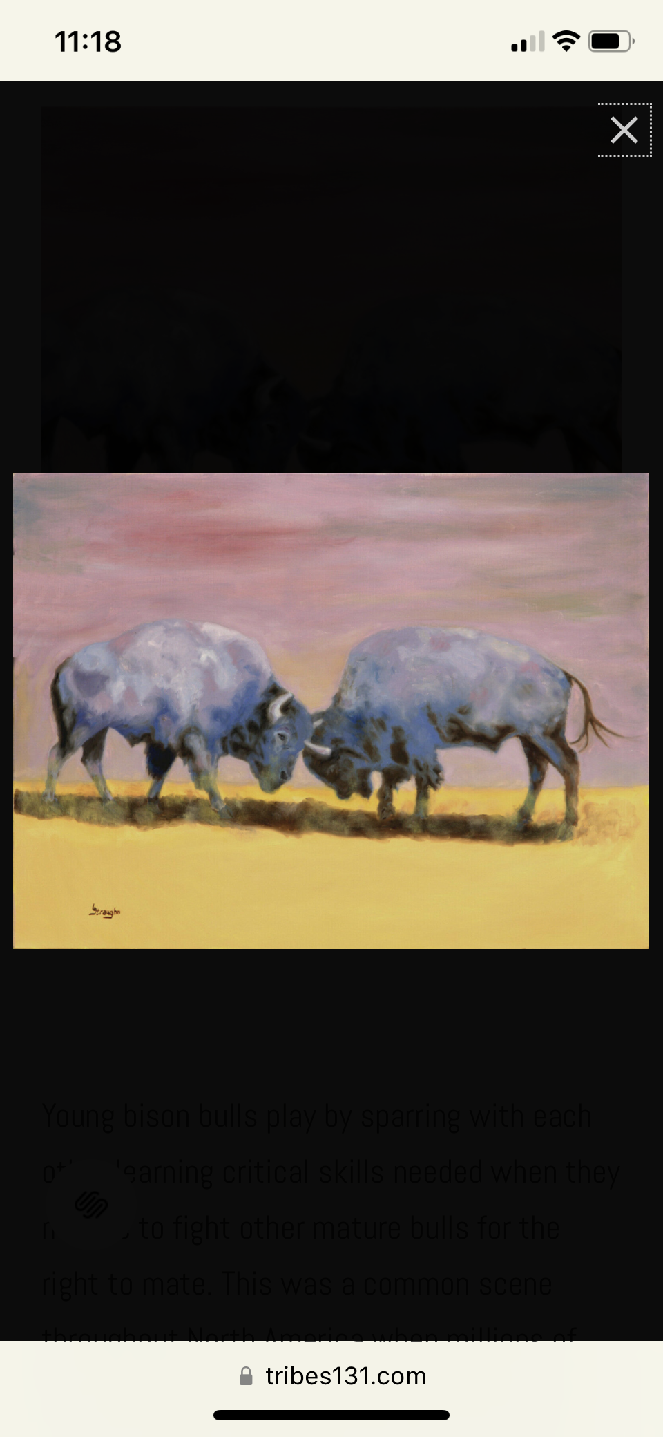 6F953F9E-C065-4E97-8C63-F062203776AF