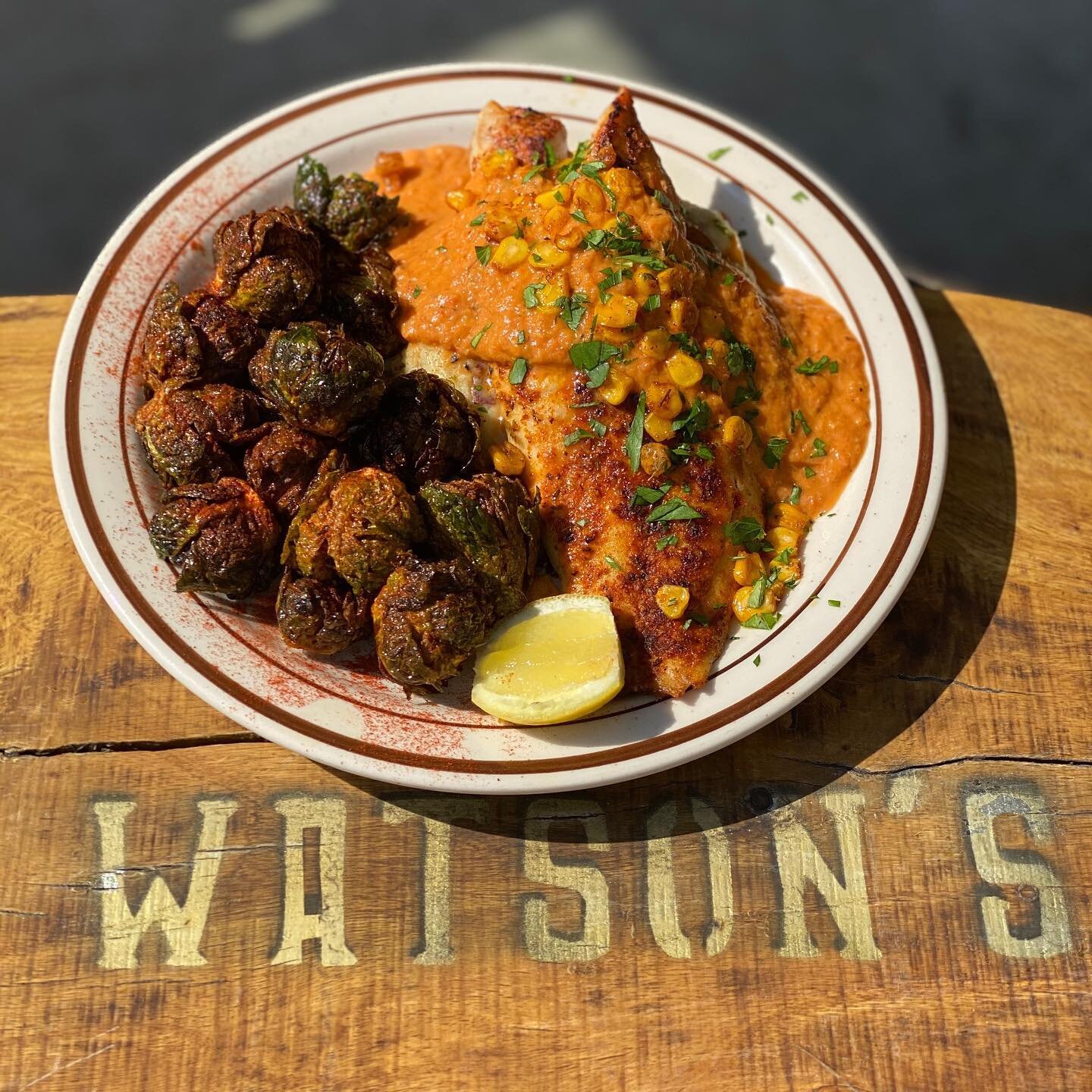 Extended! Cajun Broiled Red Snapper over Chimichurri Mashed Potatoes, topped with a Roasted Red Pepper &amp; Shallot Sauce, Sweet Corn, and Parsley.  Served with Fried Brussels Sprouts. Dinner only!⁠
.⁠
.⁠
.⁠
#WatsonsShack #Watsons #WatsonsRail #UIUC