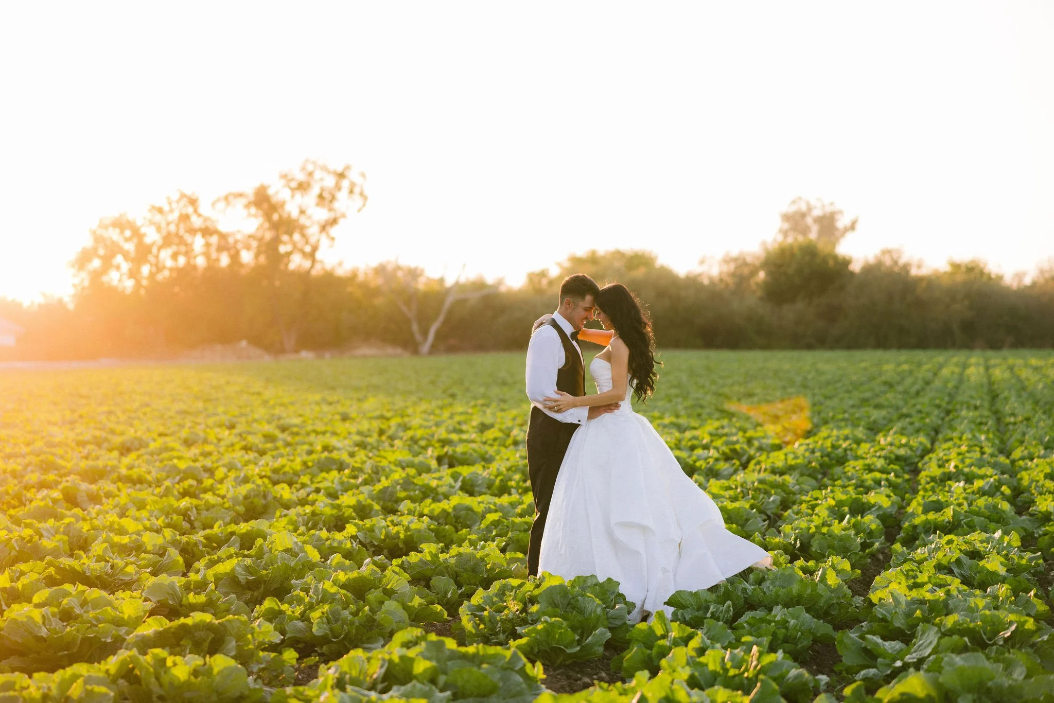 cameron_ingalls-williams_wedding-0834.jpg