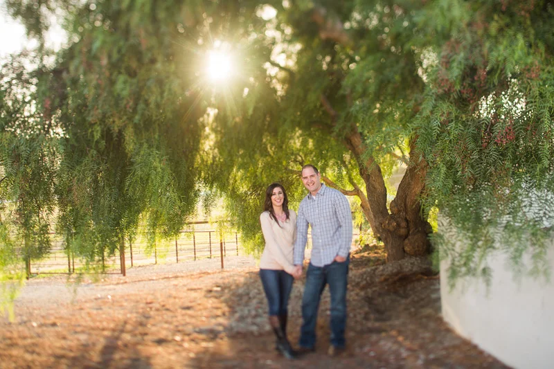 Lauren & Jared (Greengate Ranch & Vineyard)