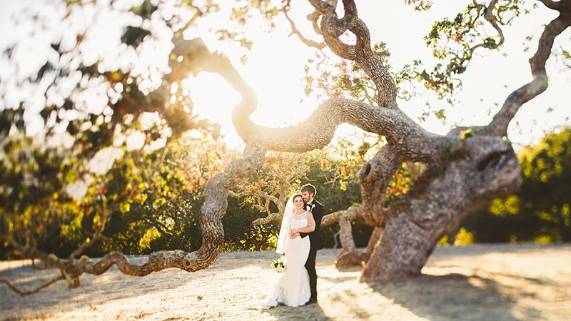 Elizabeth & Gavin (Holman Ranch Wedding)
