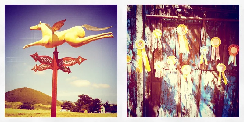 Sneak Preview (An Inspiration Shoot)