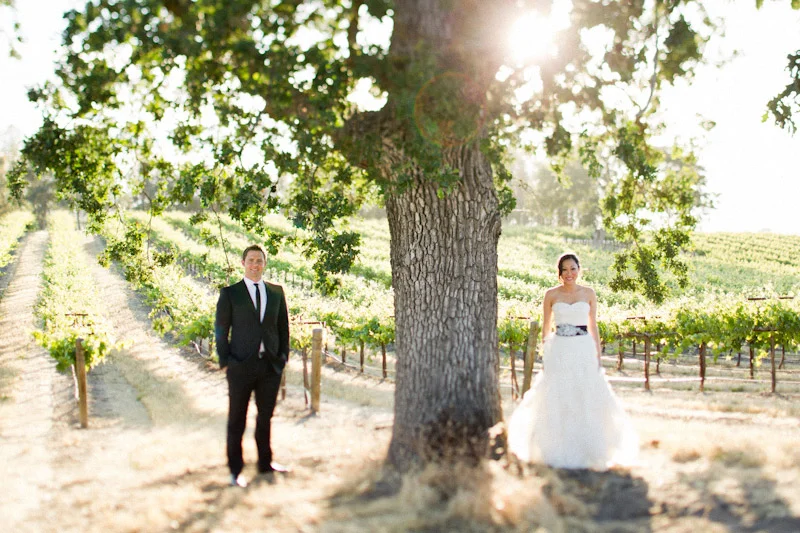 Christina & Daniel (Paso Robles)