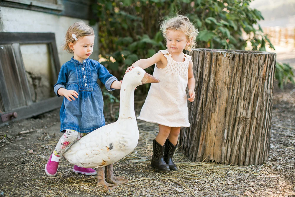 Old Edna - Nappier Family