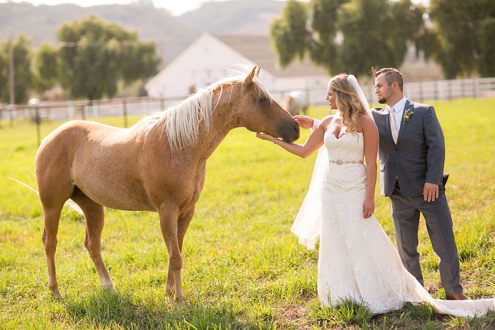 Greengate Ranch and Vineyard Wedding – Victoria & AJ