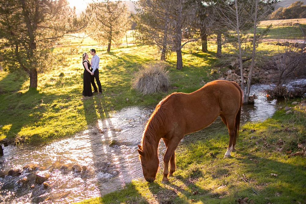 Spanish Oaks Ranch Engagement Session - Kristyn & Sanden