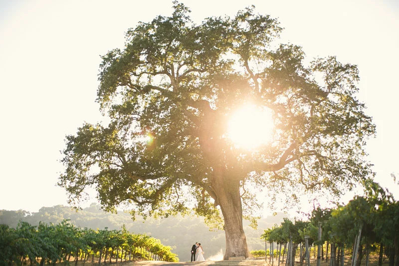 Eliza & Gordon (Hammersky Vineyards, Paso Robles)