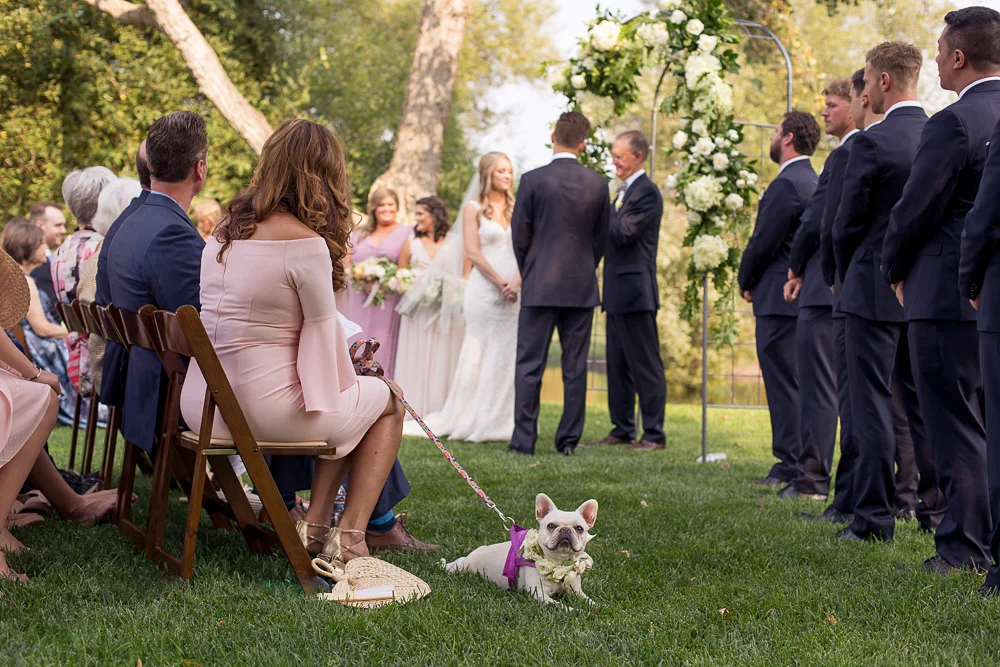 cameron_ingalls_greengateranchvineyard-mulvaney-0491.jpg
