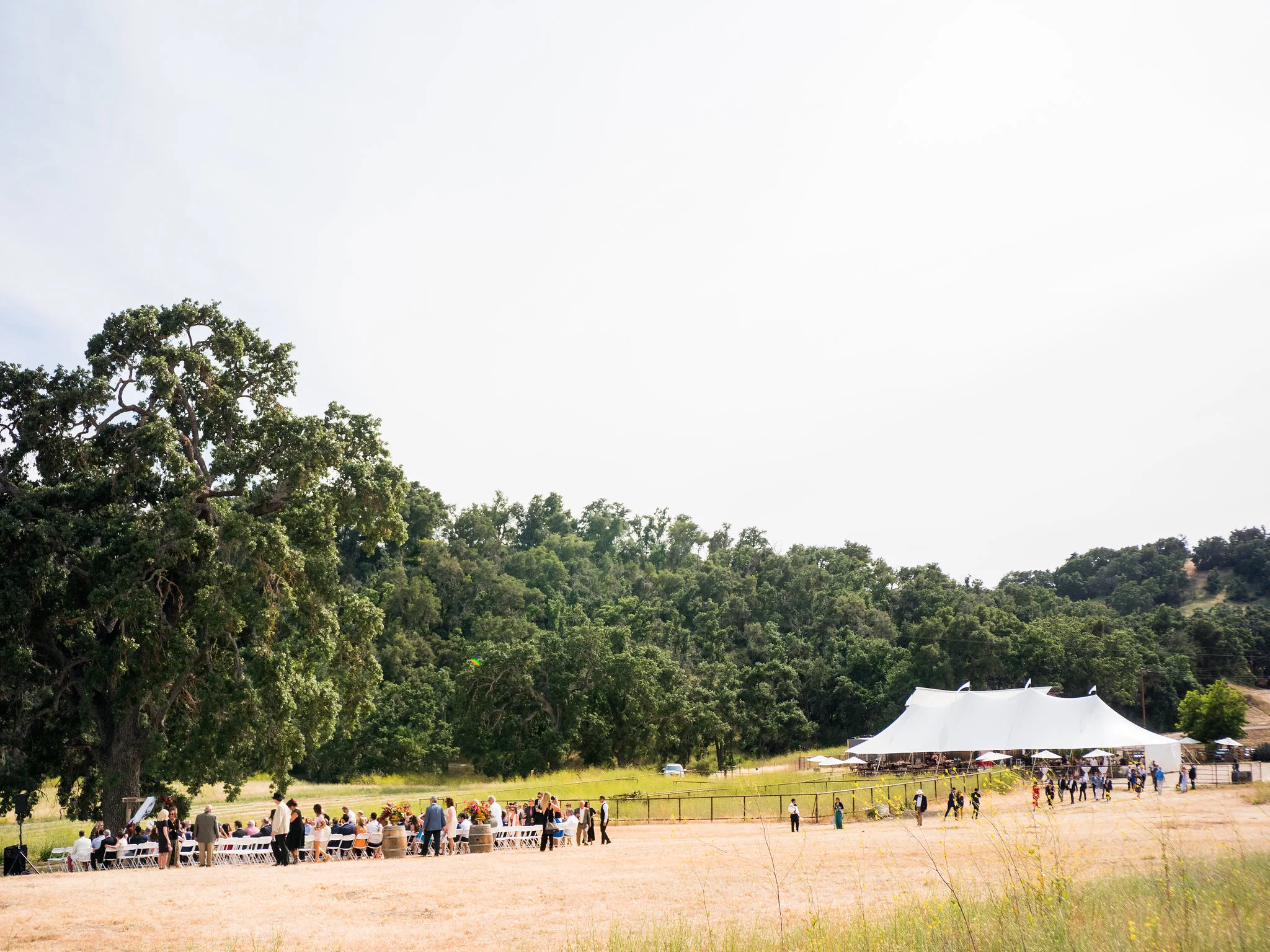 cameron_ingalls-the_farm_winery-madsen-0132.jpg