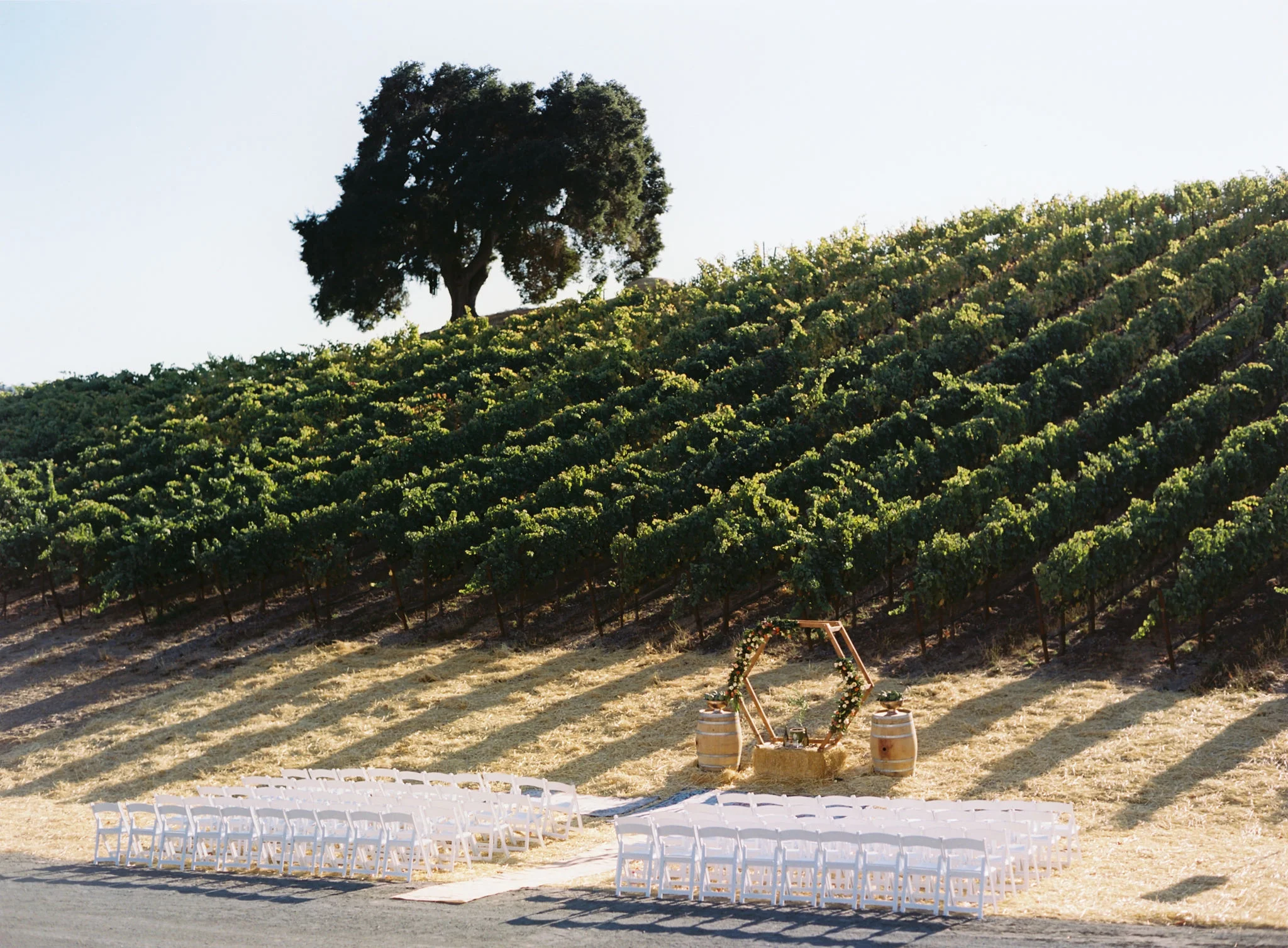cameron_ingalls-niner_winery-endres-FILM-0016.jpg