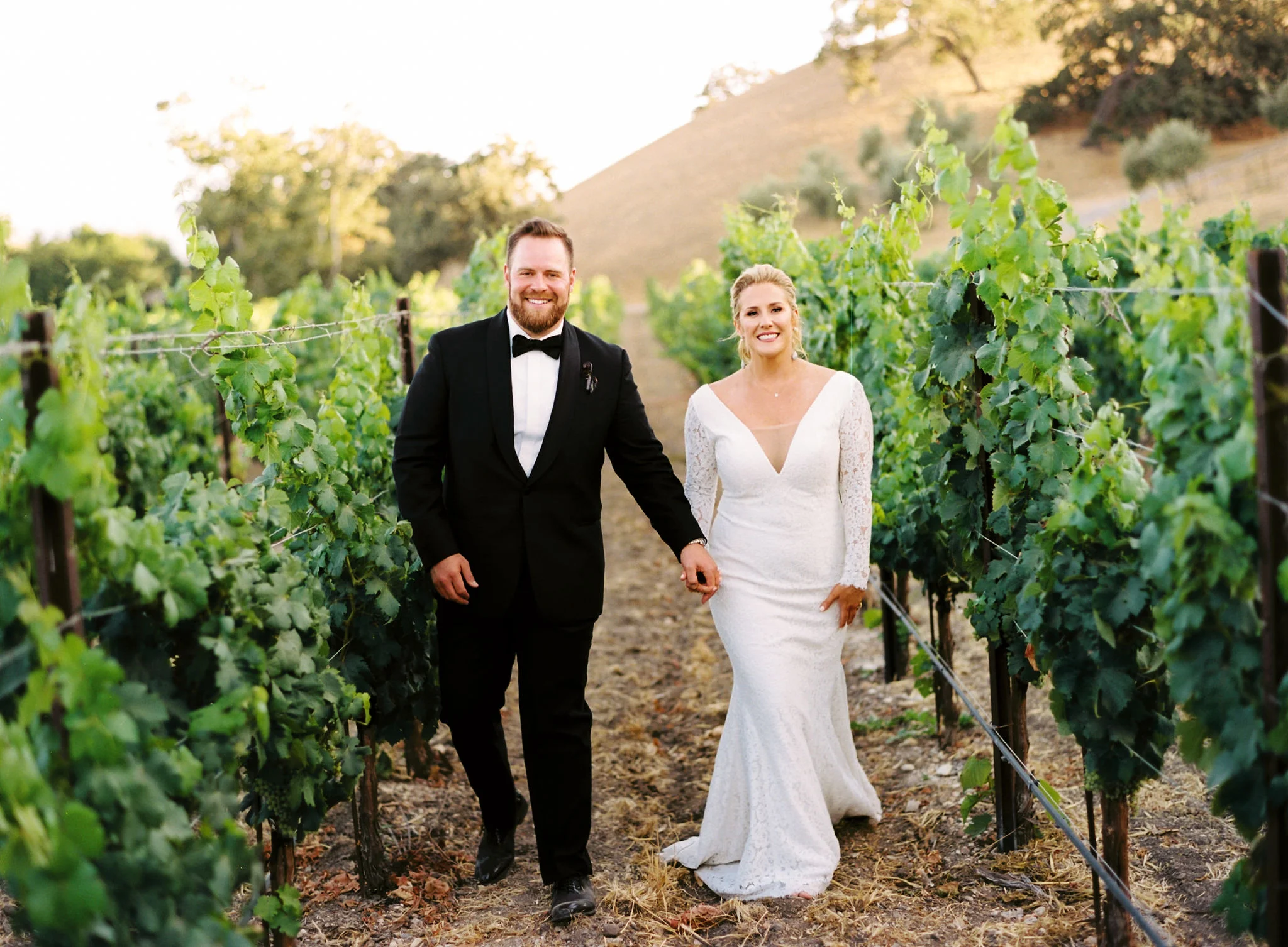 cameron_ingalls-honea-vineyard-hajek-film-0059.jpg