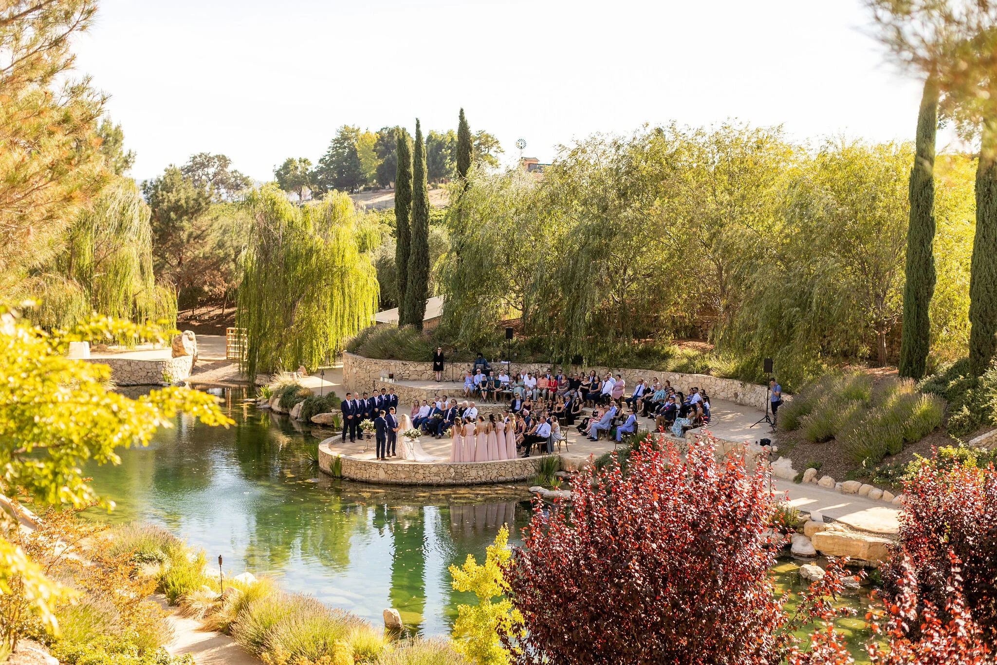 Terra Mia Vineyards Wedding - Rachel &amp; Steven