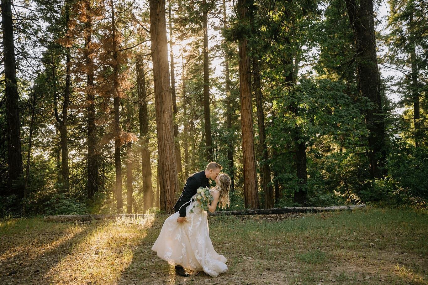 From high school sweethearts to this enchanting forest wedding, Jaden and Kara&rsquo;s love story is truly inspiring. Here&rsquo;s to forever and beyond! 

#ForestFairyTale #LoveInBloom #LoveKnowsNoDistance #EternalLove  #ForestWedding #LoveConquersA