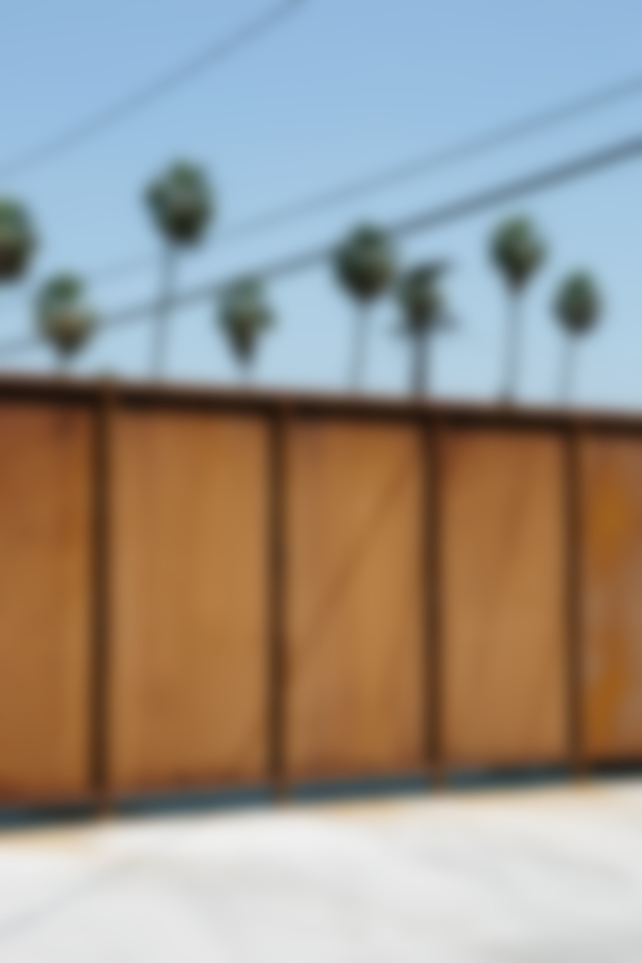 NatashaLee-OakRoad-9484_w blur.jpg