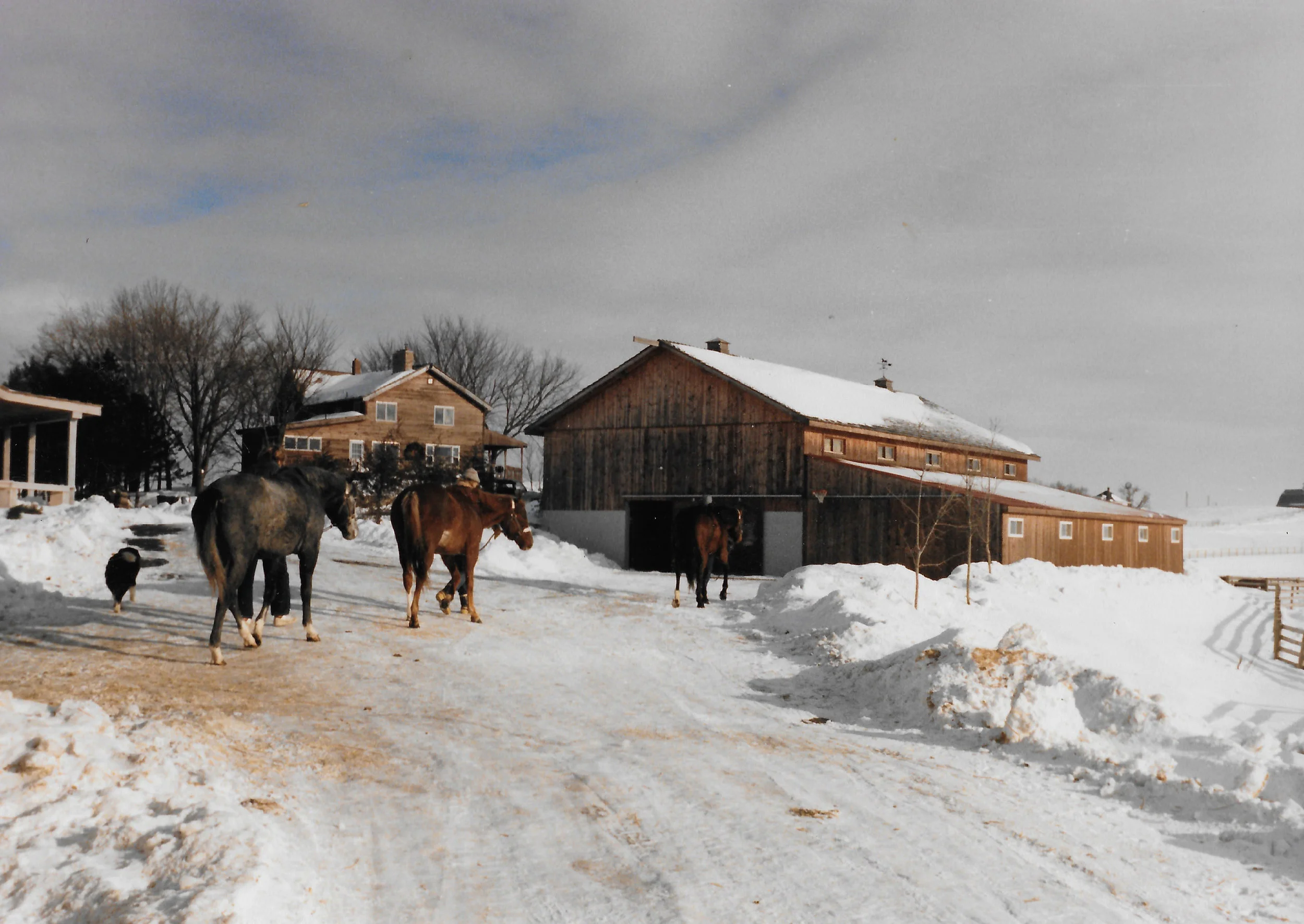 noahfarmwinter_crop.jpg