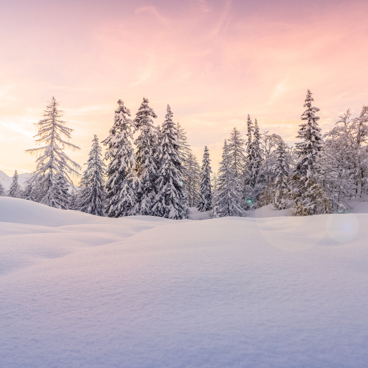Harmonizing with Winter