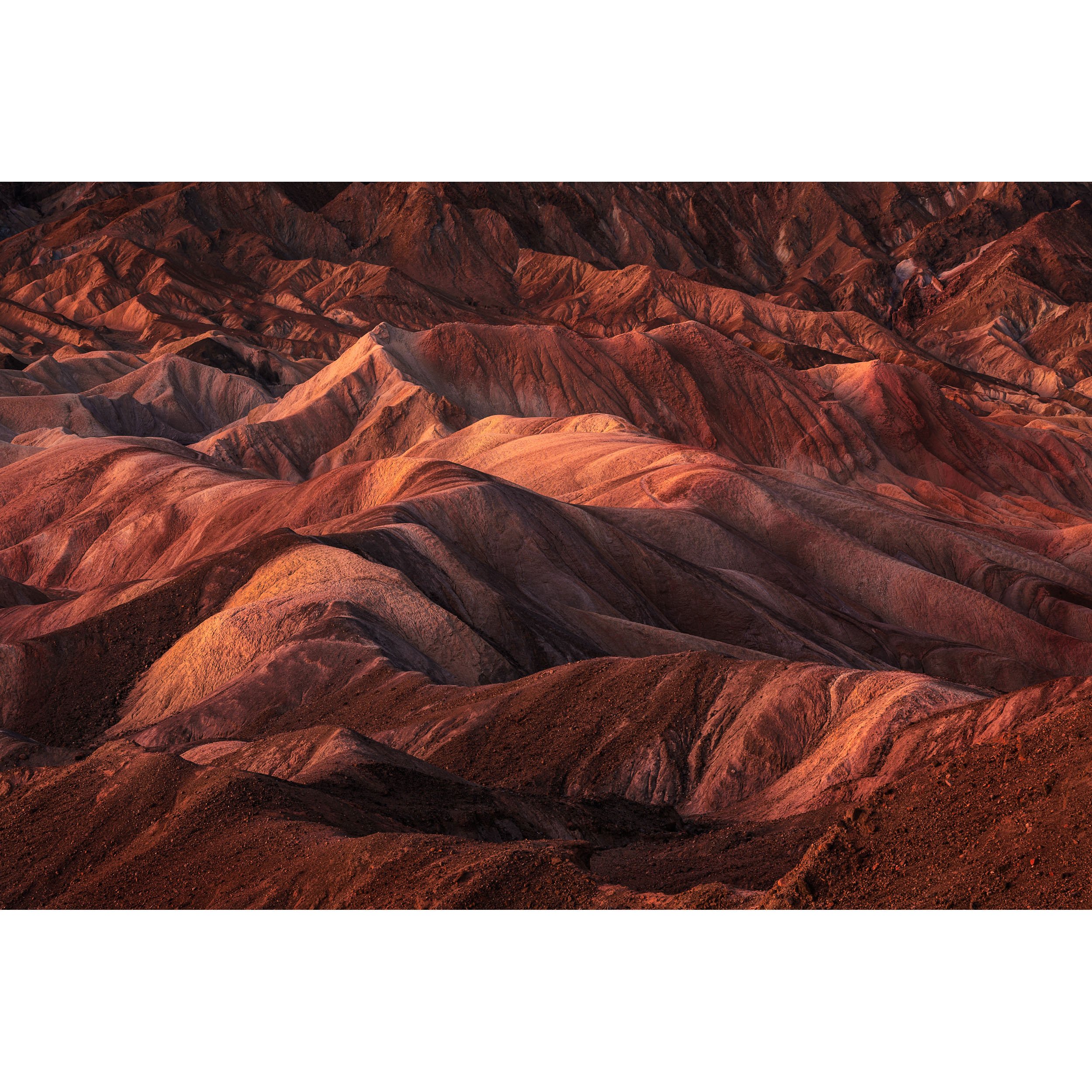 Fine art landscape photo of golden hour light and warm shadows on the vibrant red and brown badlands of Zabriskie Point in Death Valley.