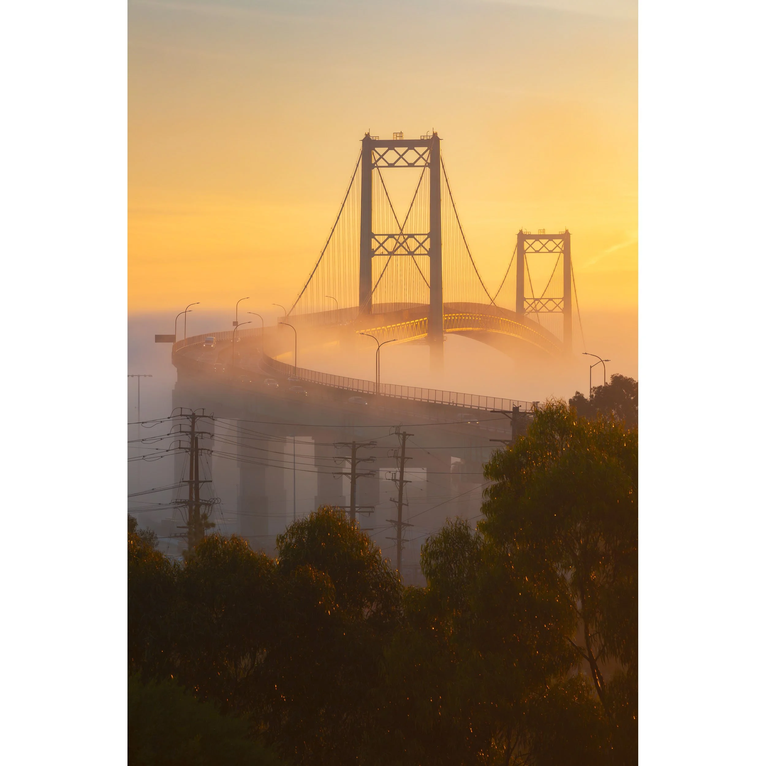 Bridge Above the Mist