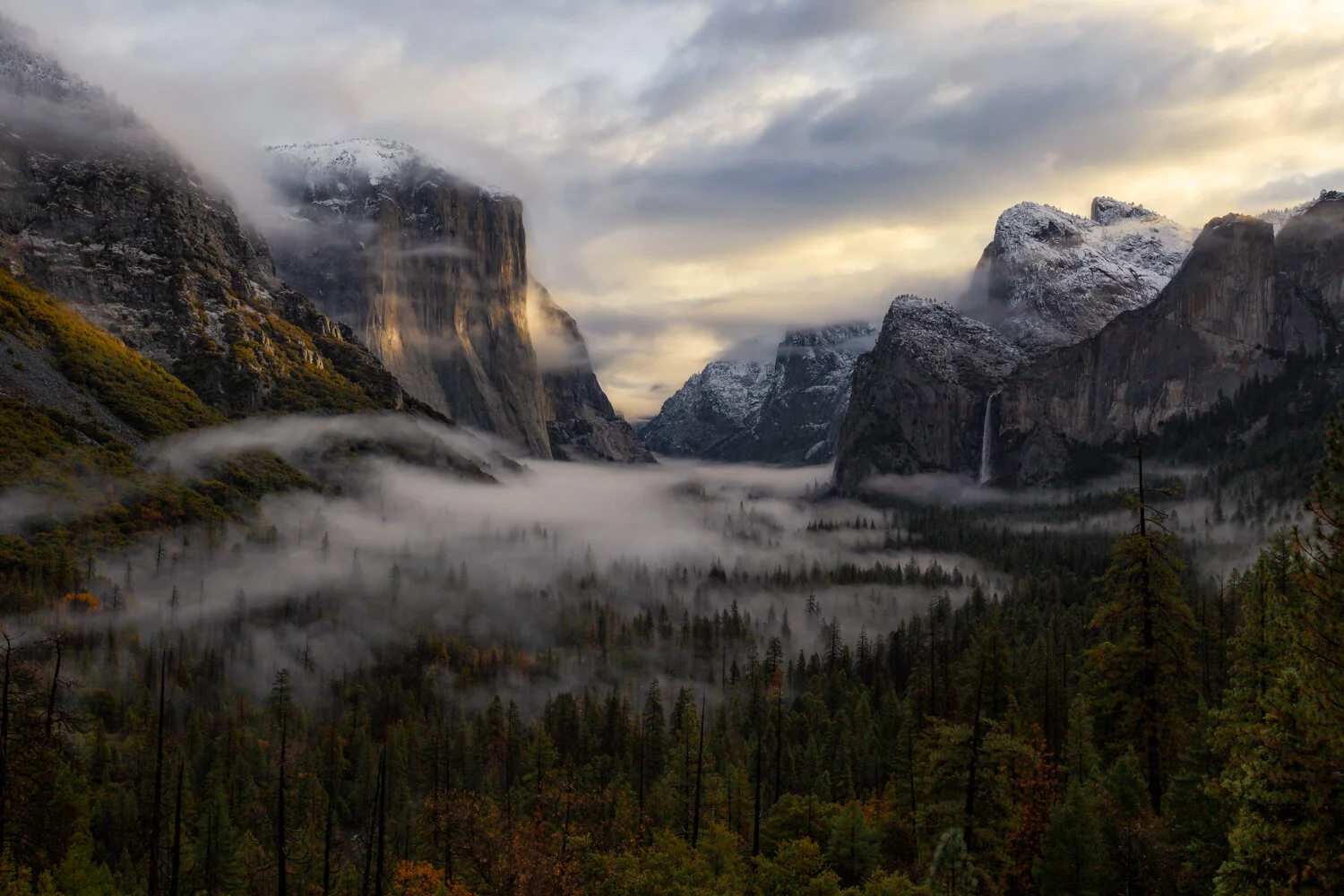 A foggy mountain valley at dawn with snow-capped peaks, dense forest in the foreground, and clouds and mist surrounding the area.