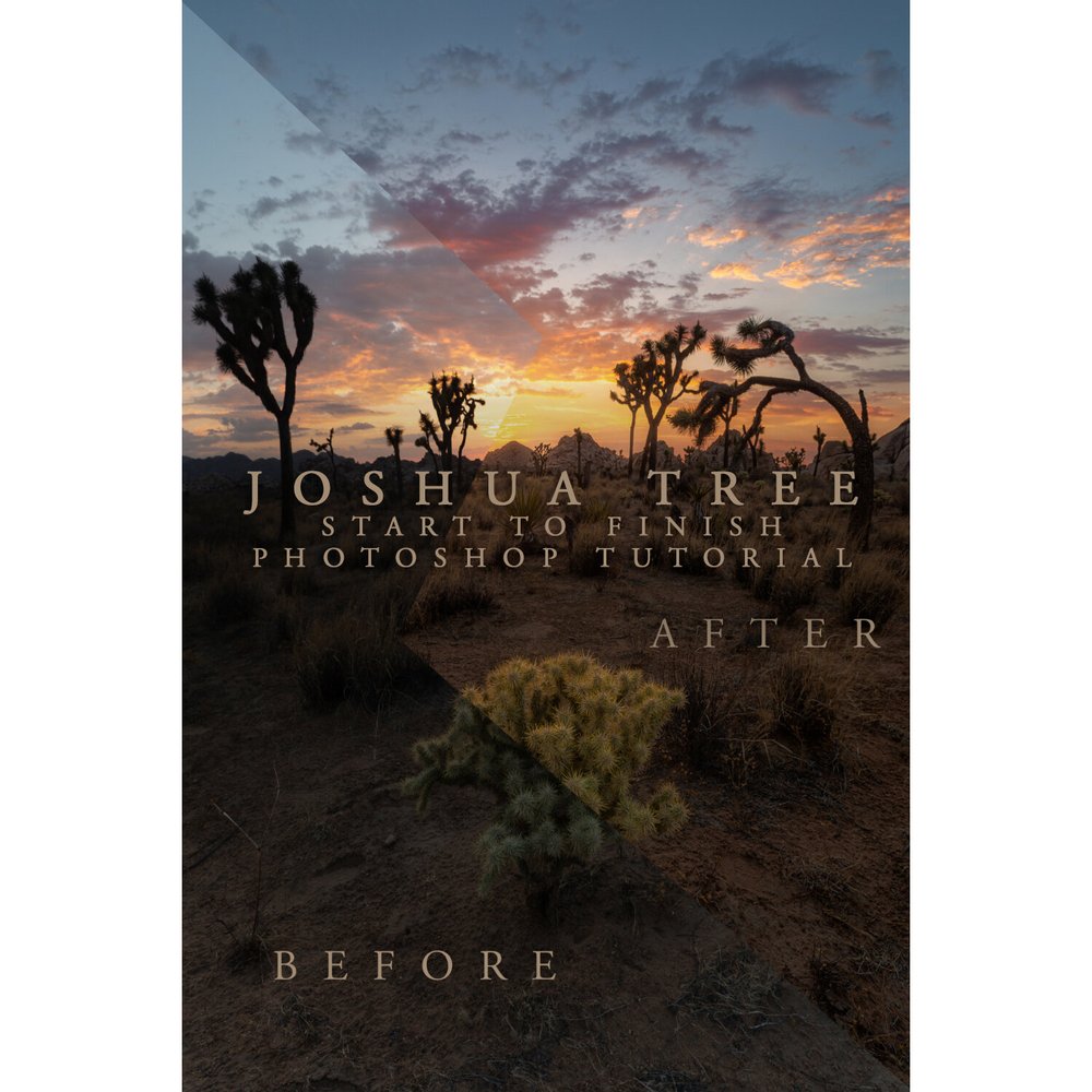 Joshua Tree Start to Finish Download 2022 2 2019_02_06_1582-Edit-Edit_Crop.jpg