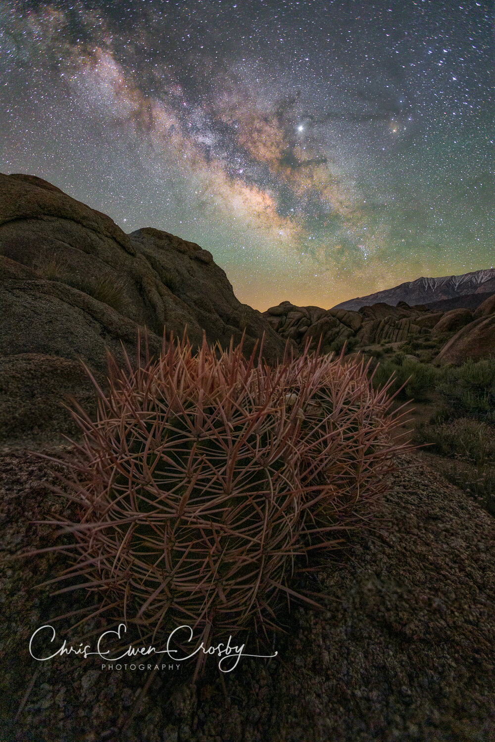Barrel Cactus Milky Way Alabama Hills