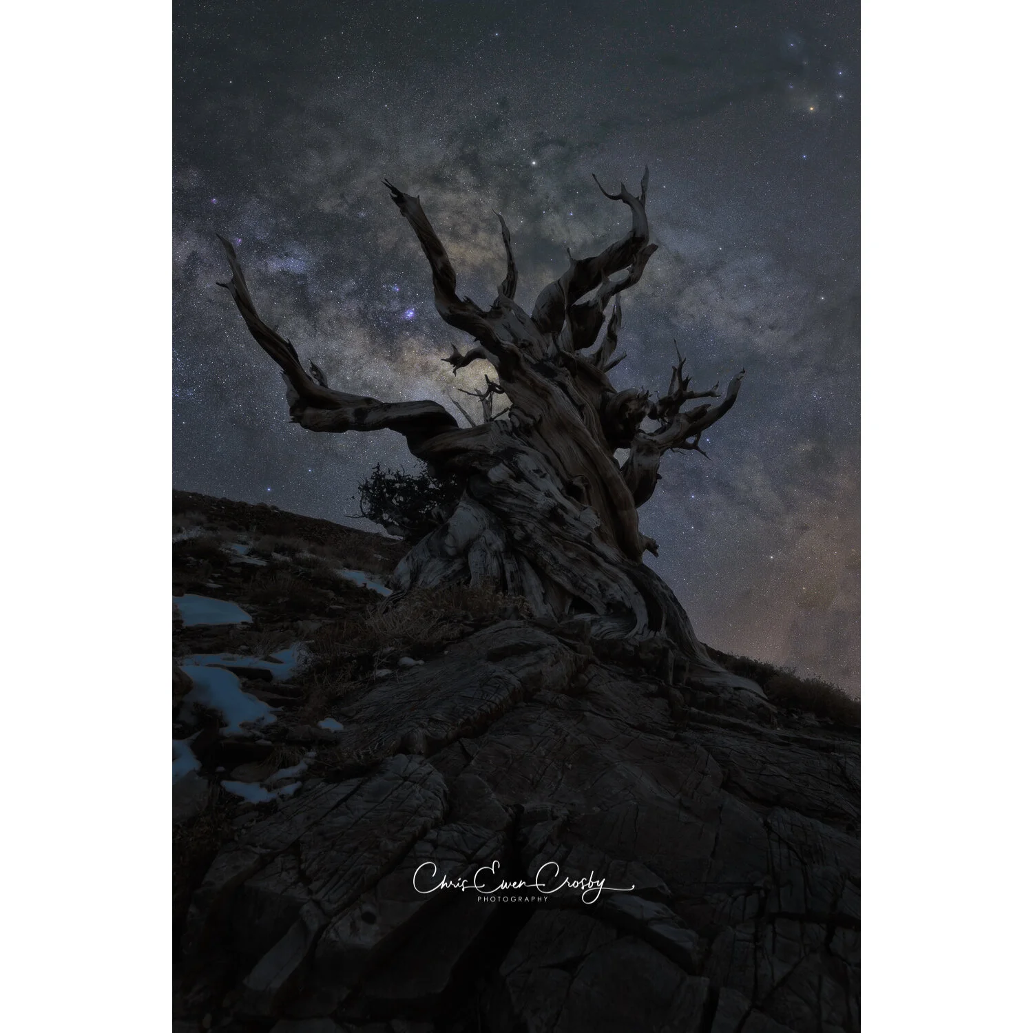 Ancient Dust