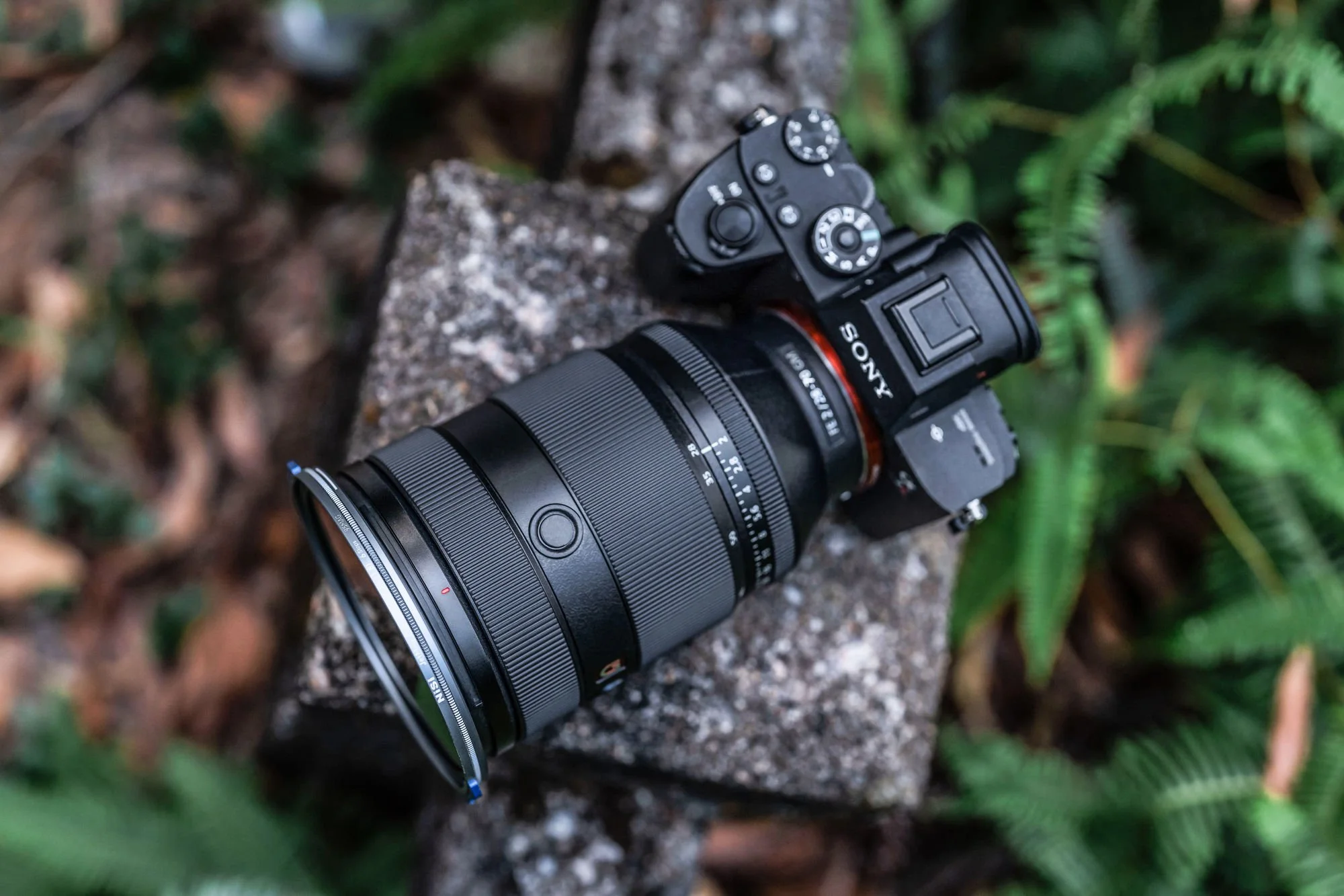 ND-1.jpg