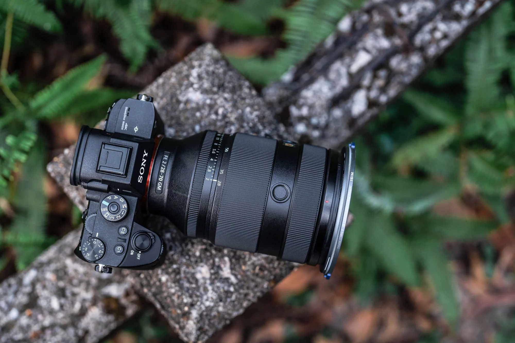 ND-4.jpg