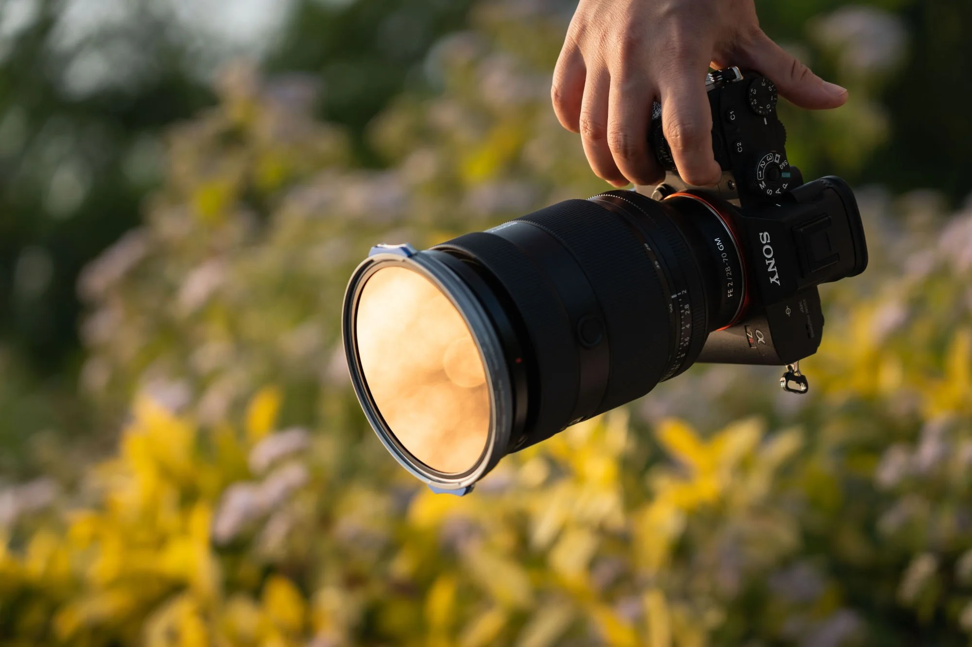 ND-2.jpg