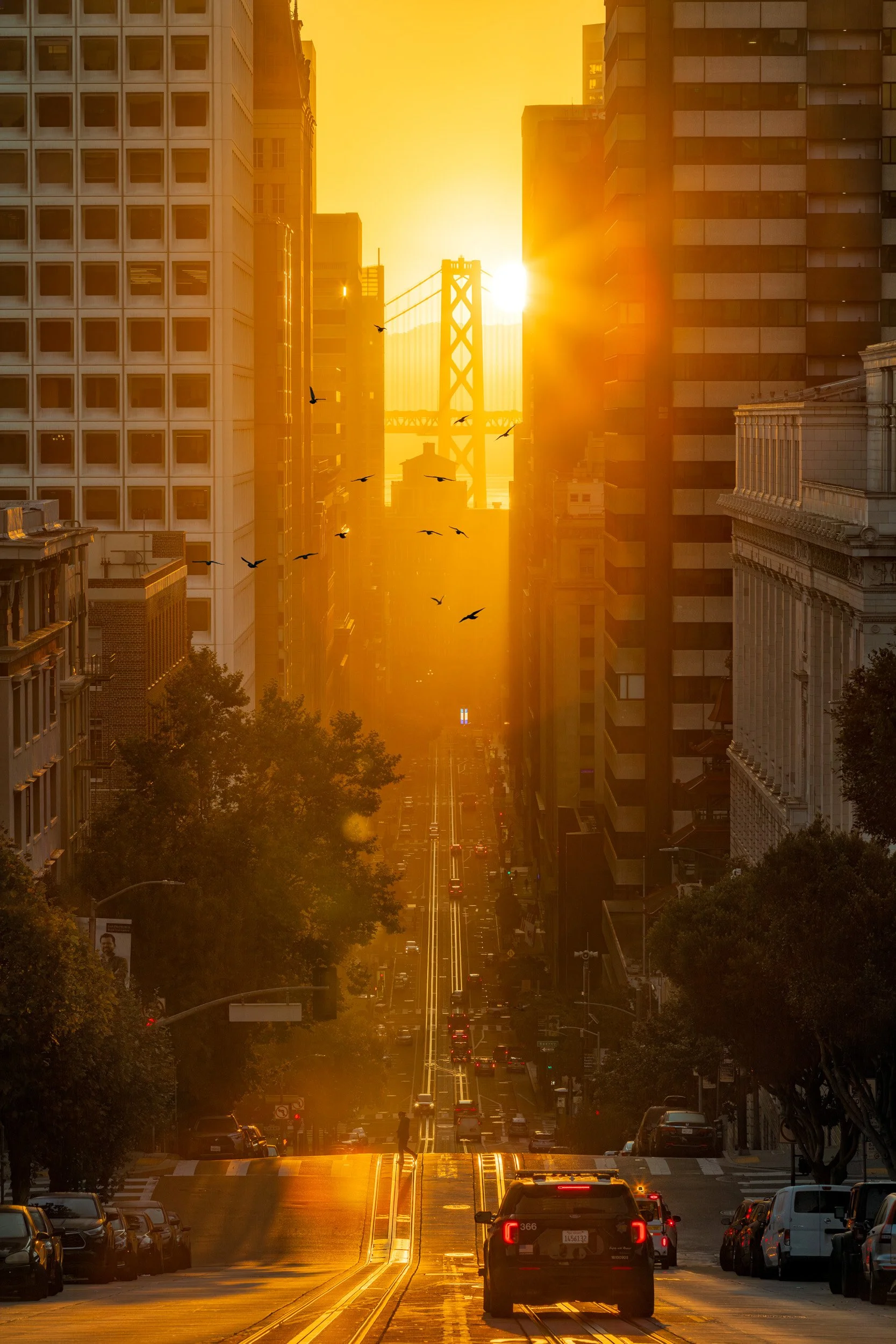 golden-alignment-san-francisco-cityscape-print.jpg