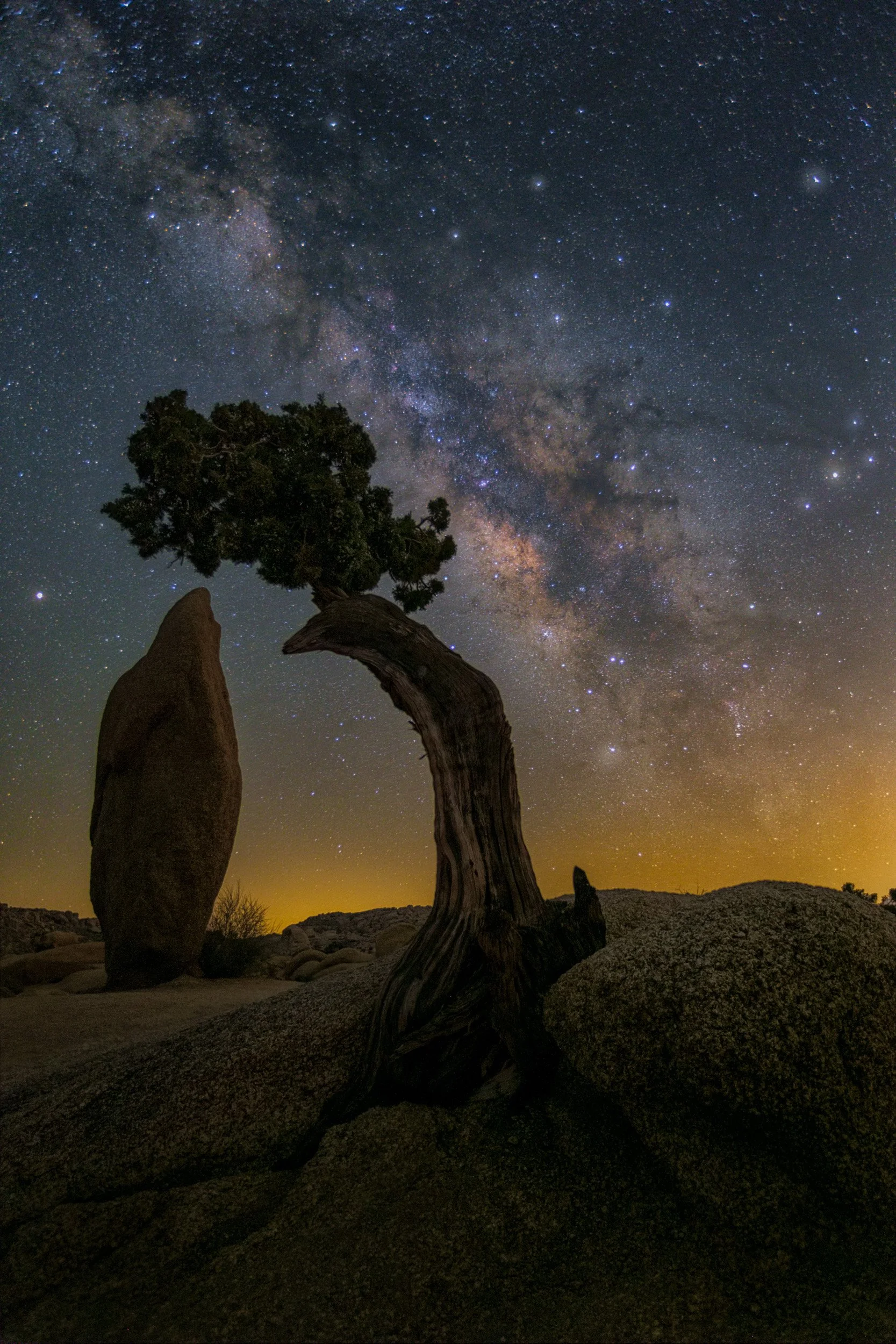 joshua-tree-juniper-tree-milky-way-fine-art-print.jpg
